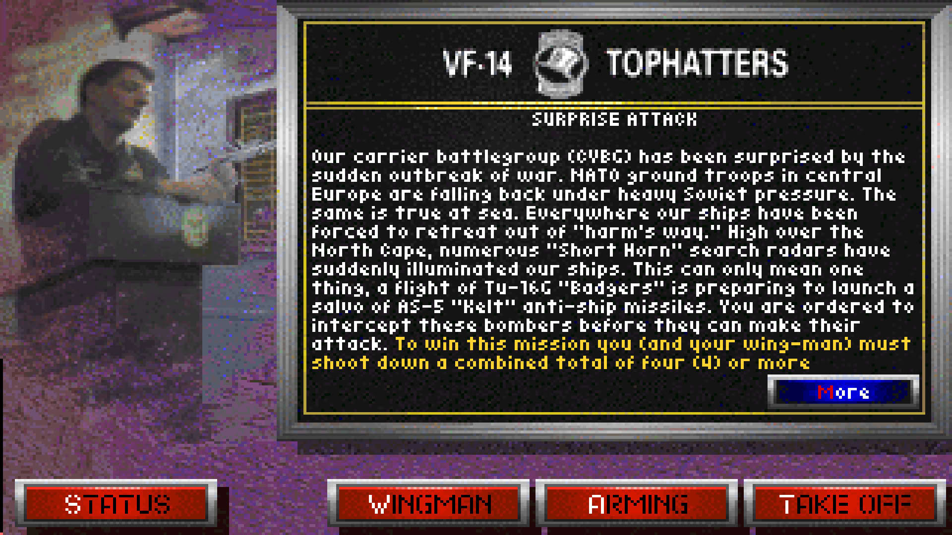 Screenshot for Fleet Defender: The F-14 Tomcat Simulation