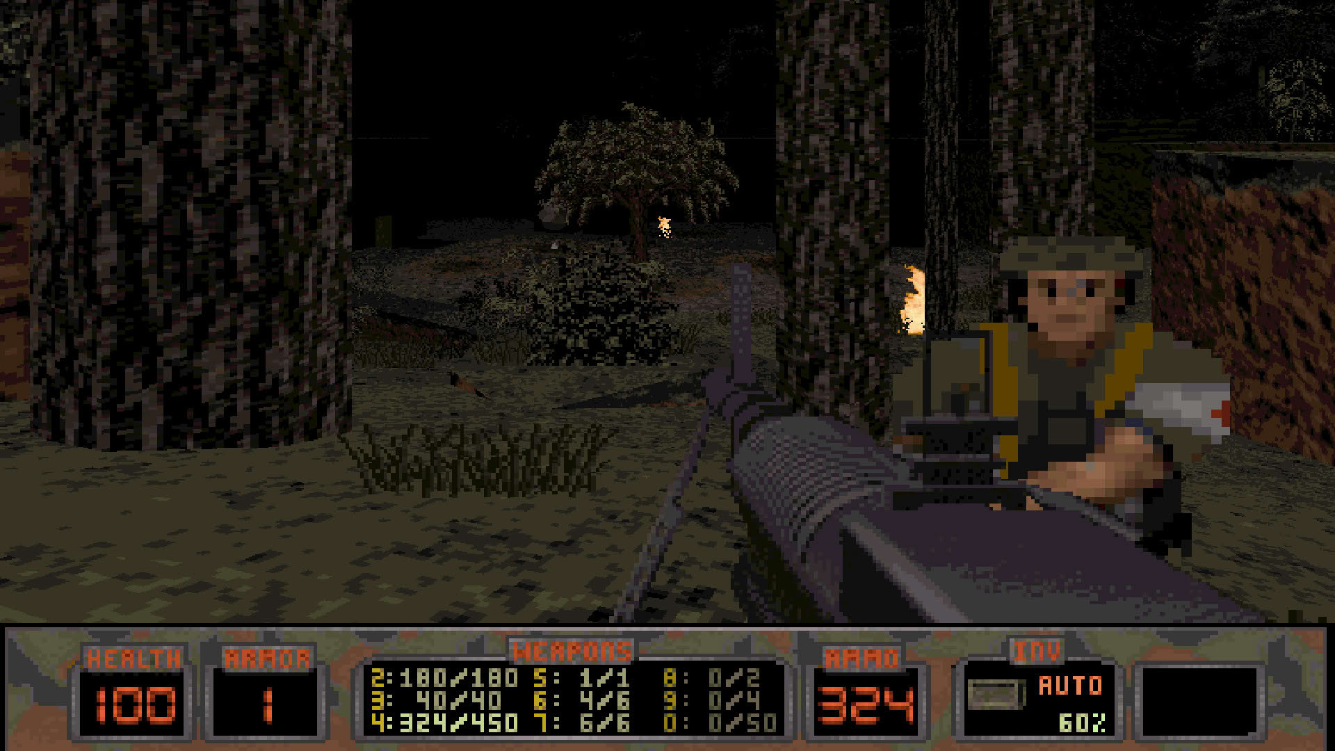 Screenshot for Nam
