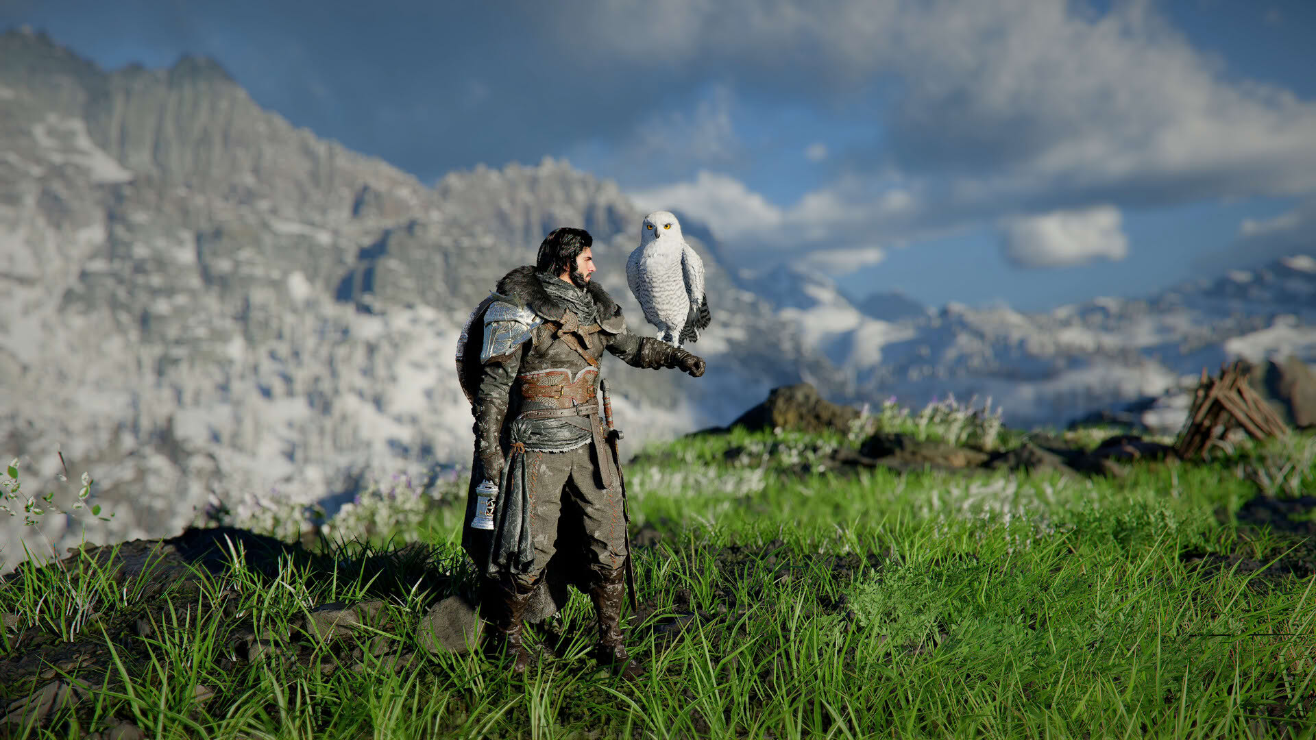 Screenshot for Crimson Desert Enhanced