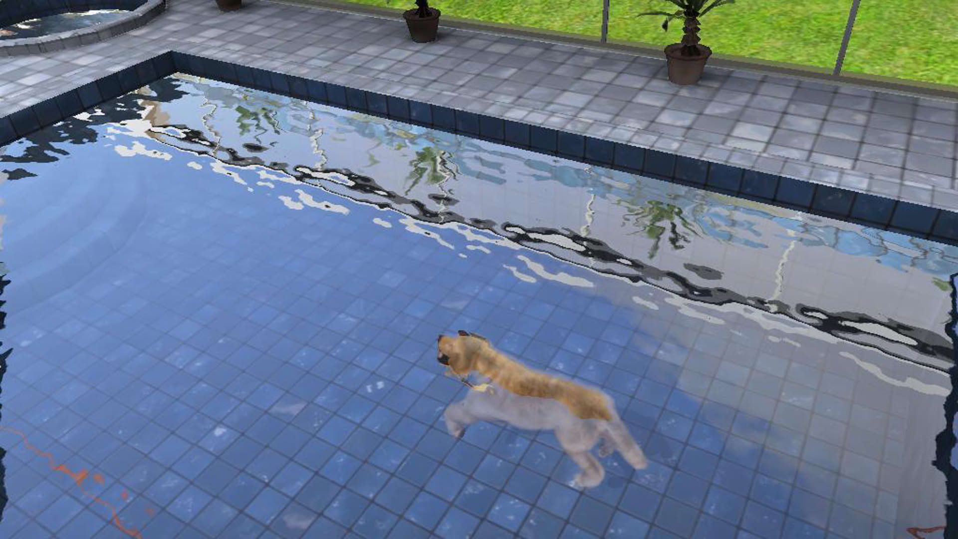 Screenshot for Paws & Claws: Pampered Pets
