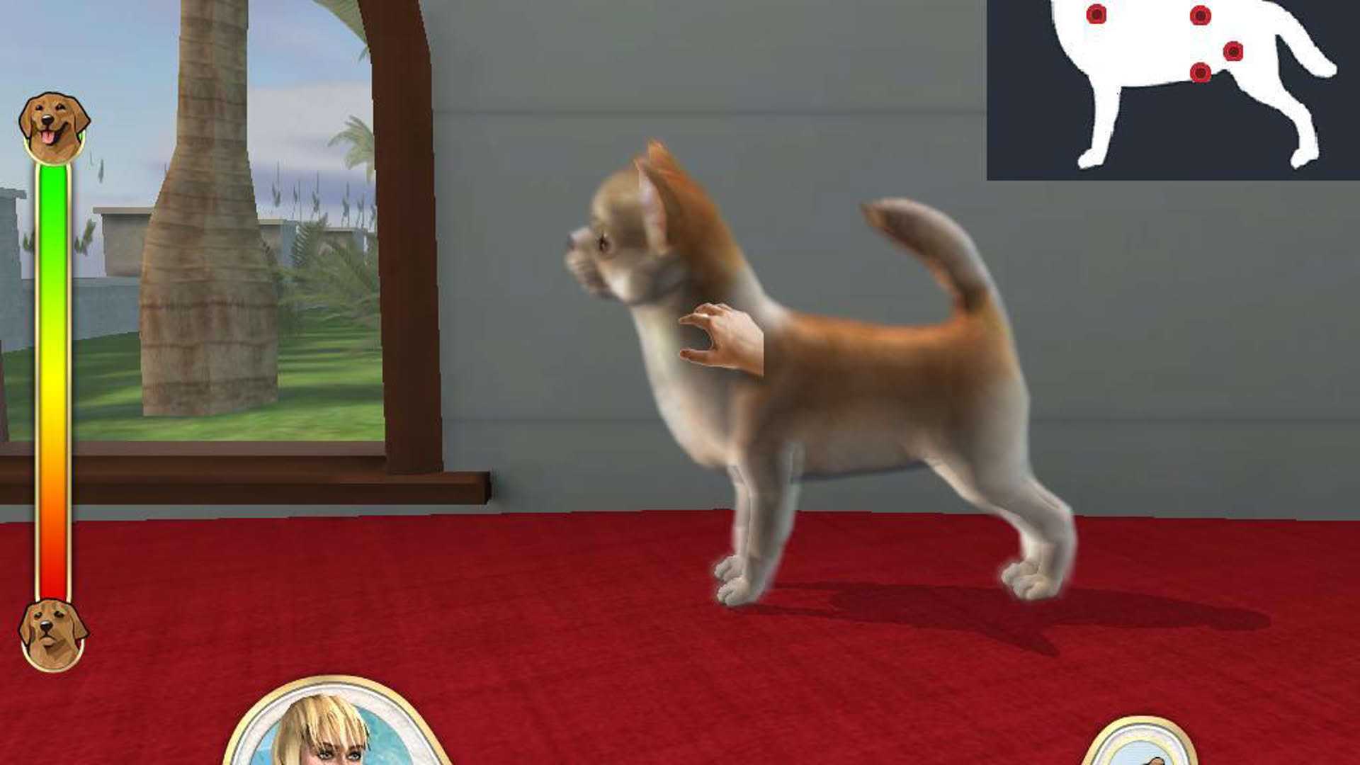 Screenshot for Paws & Claws: Pampered Pets