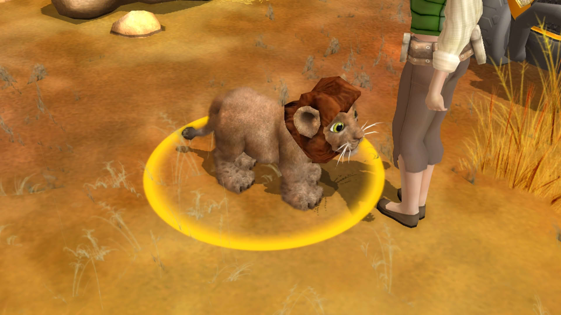 Screenshot for Wildlife Camp