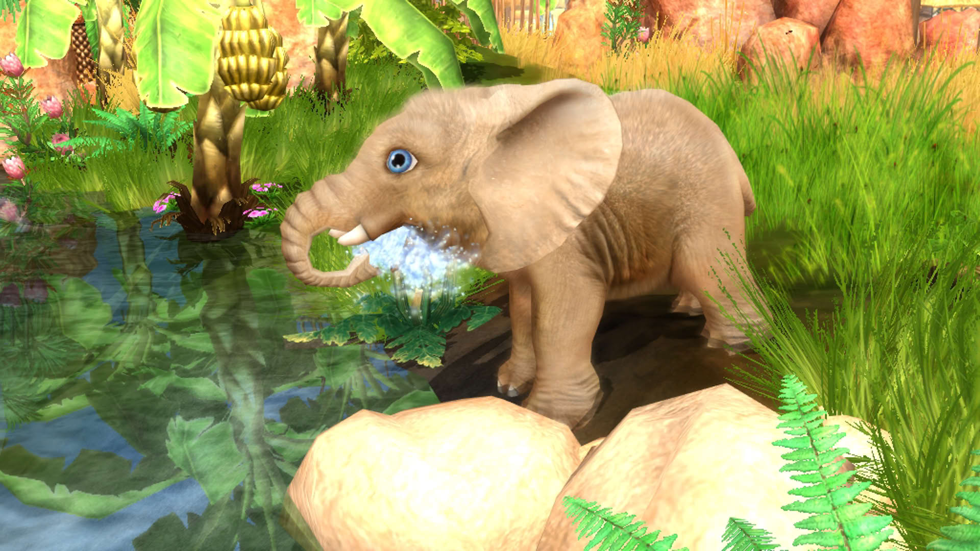Screenshot for Wildlife Camp