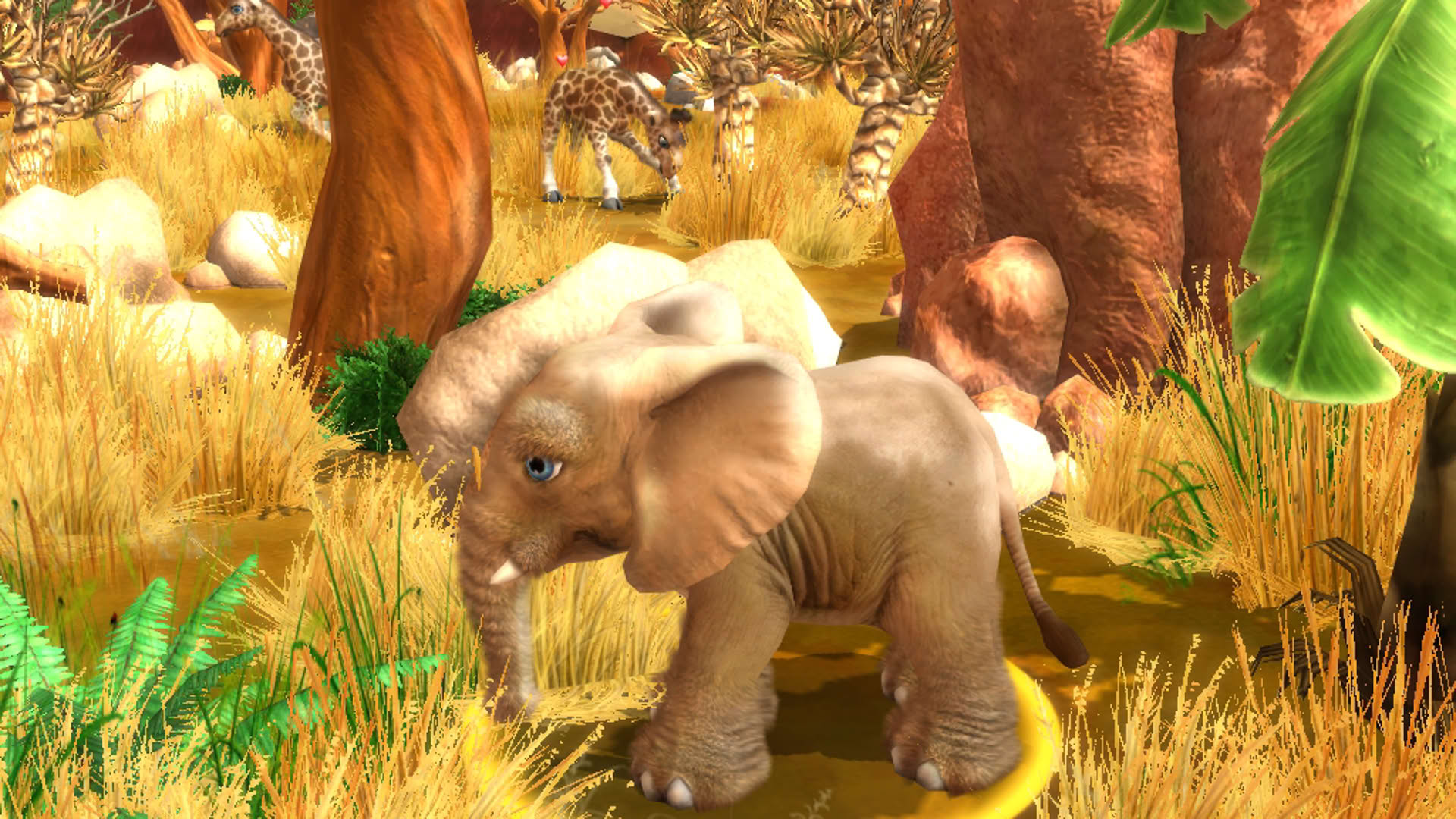 Screenshot for Wildlife Camp