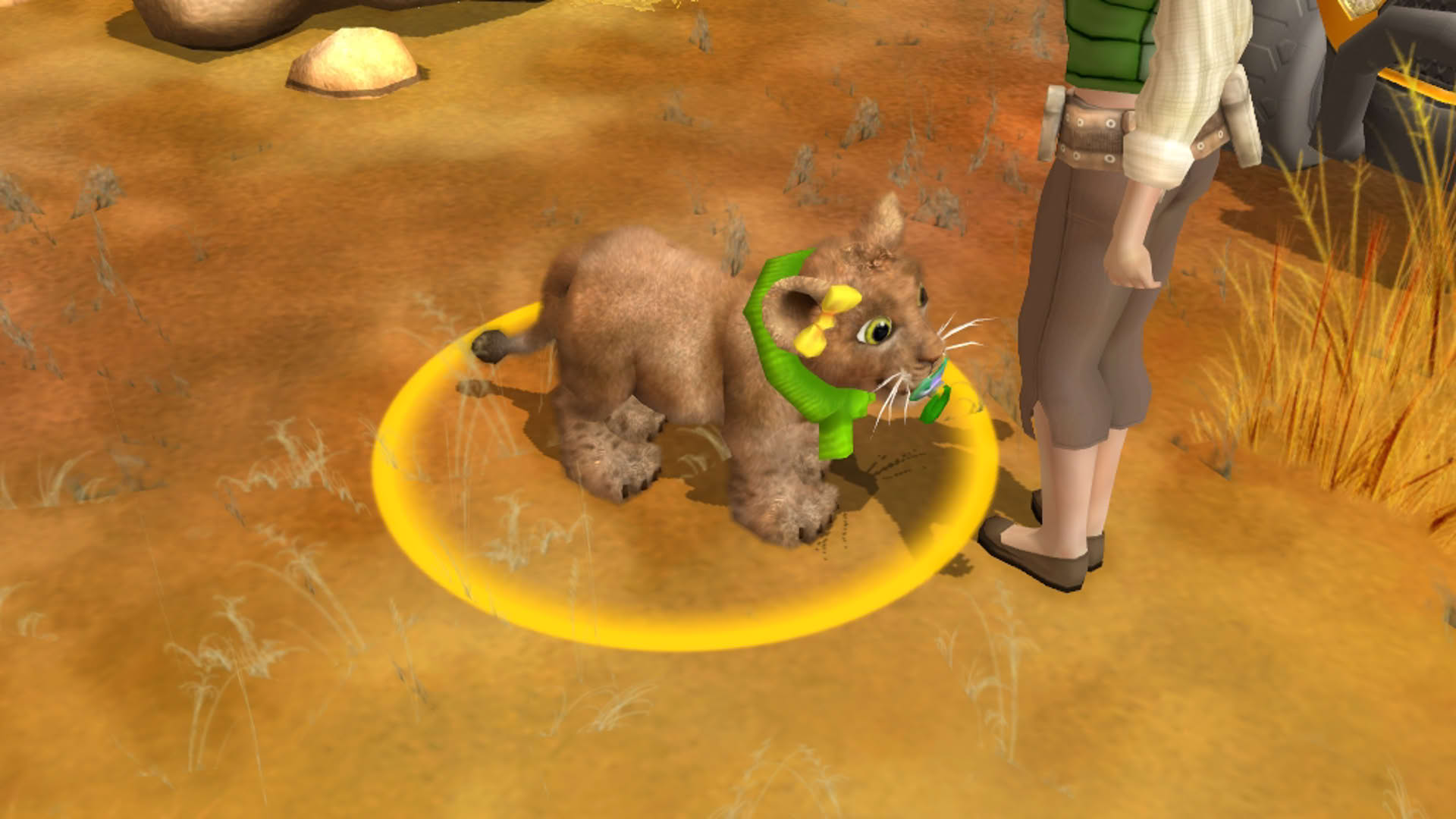 Screenshot for Wildlife Camp