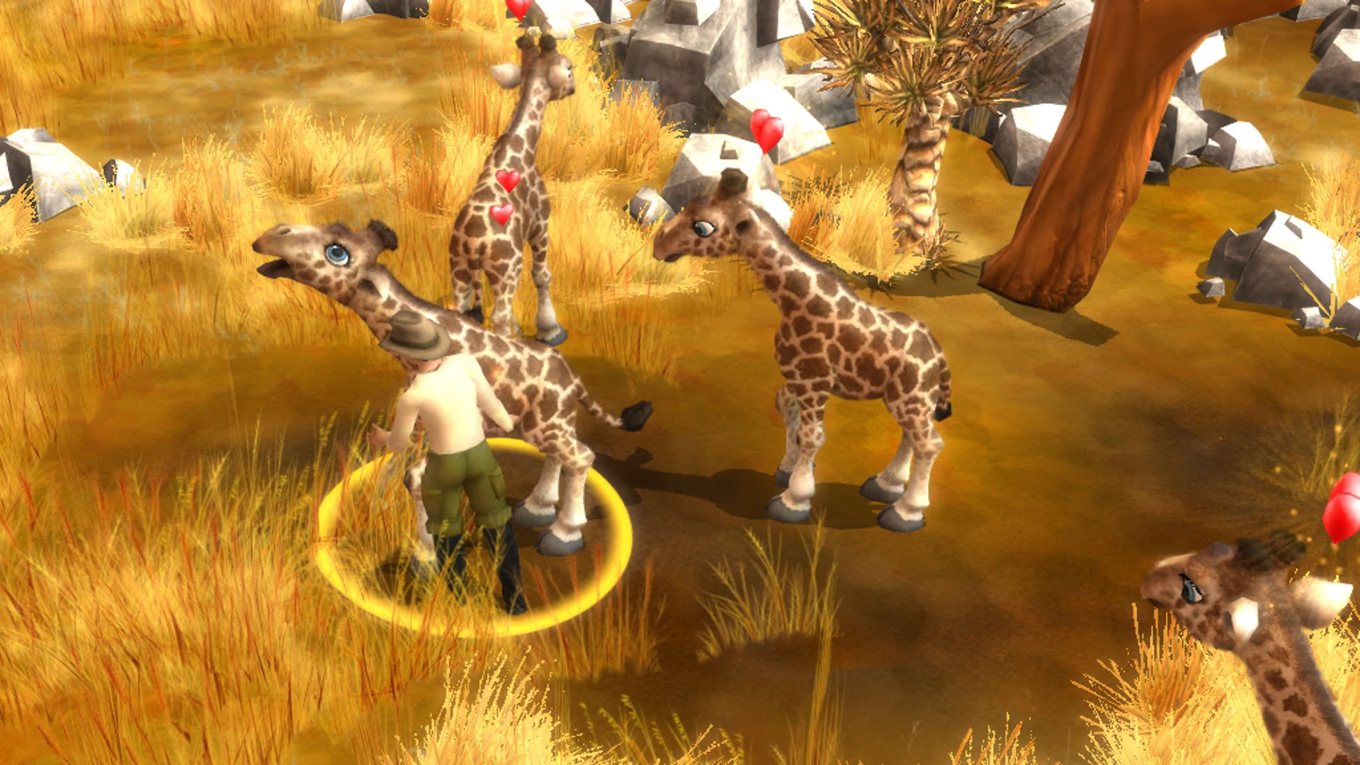 Screenshot for Wildlife Camp