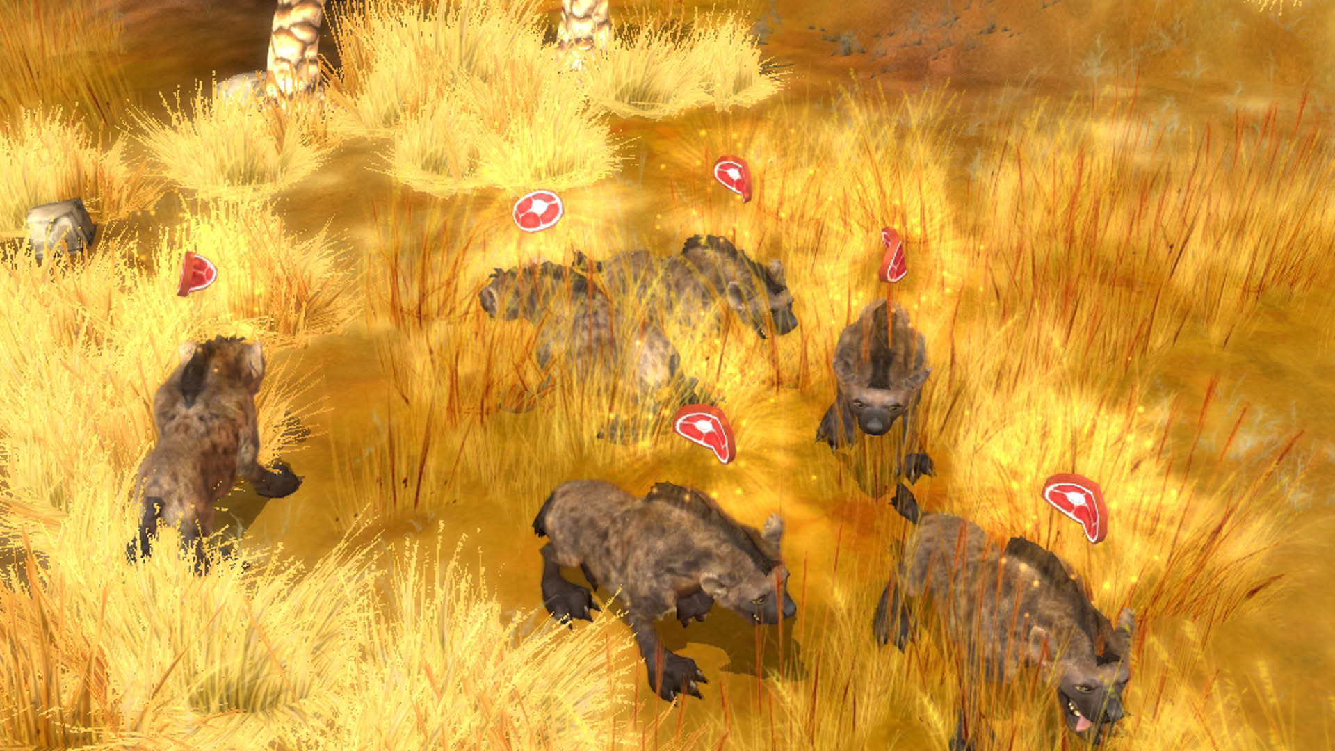 Screenshot for Wildlife Camp