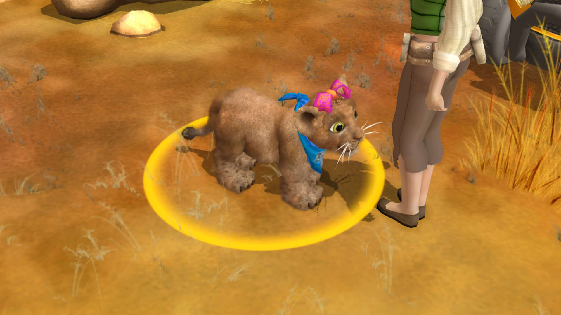 Screenshot for Wildlife Camp
