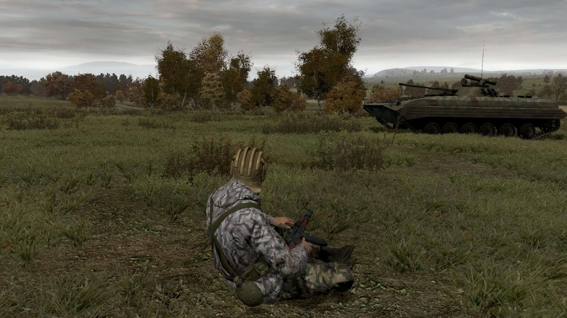 Screenshot for Arma 2