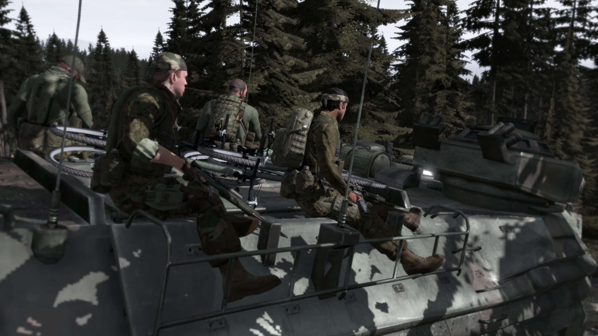 Screenshot for Arma 2