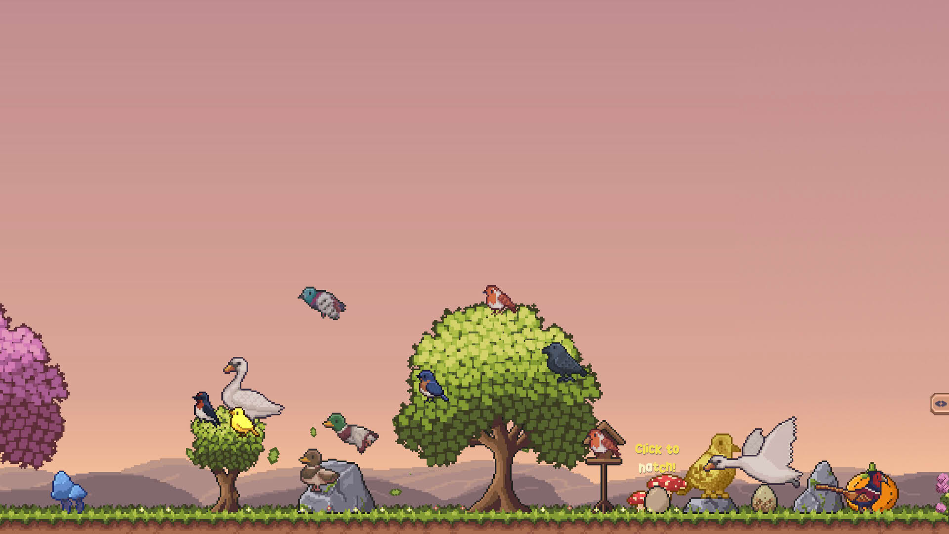 Screenshot for Little Aviary