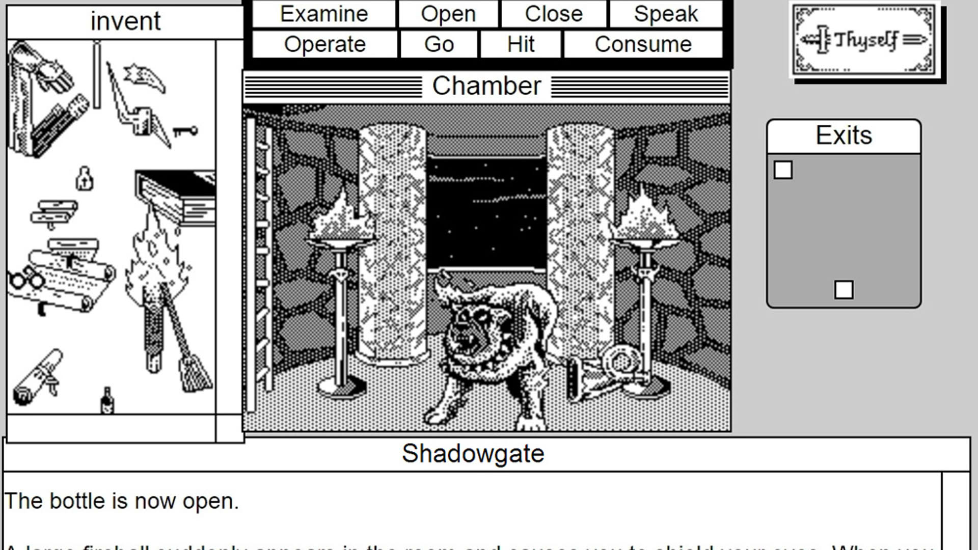 Screenshot for Shadowgate: MacVenture Series