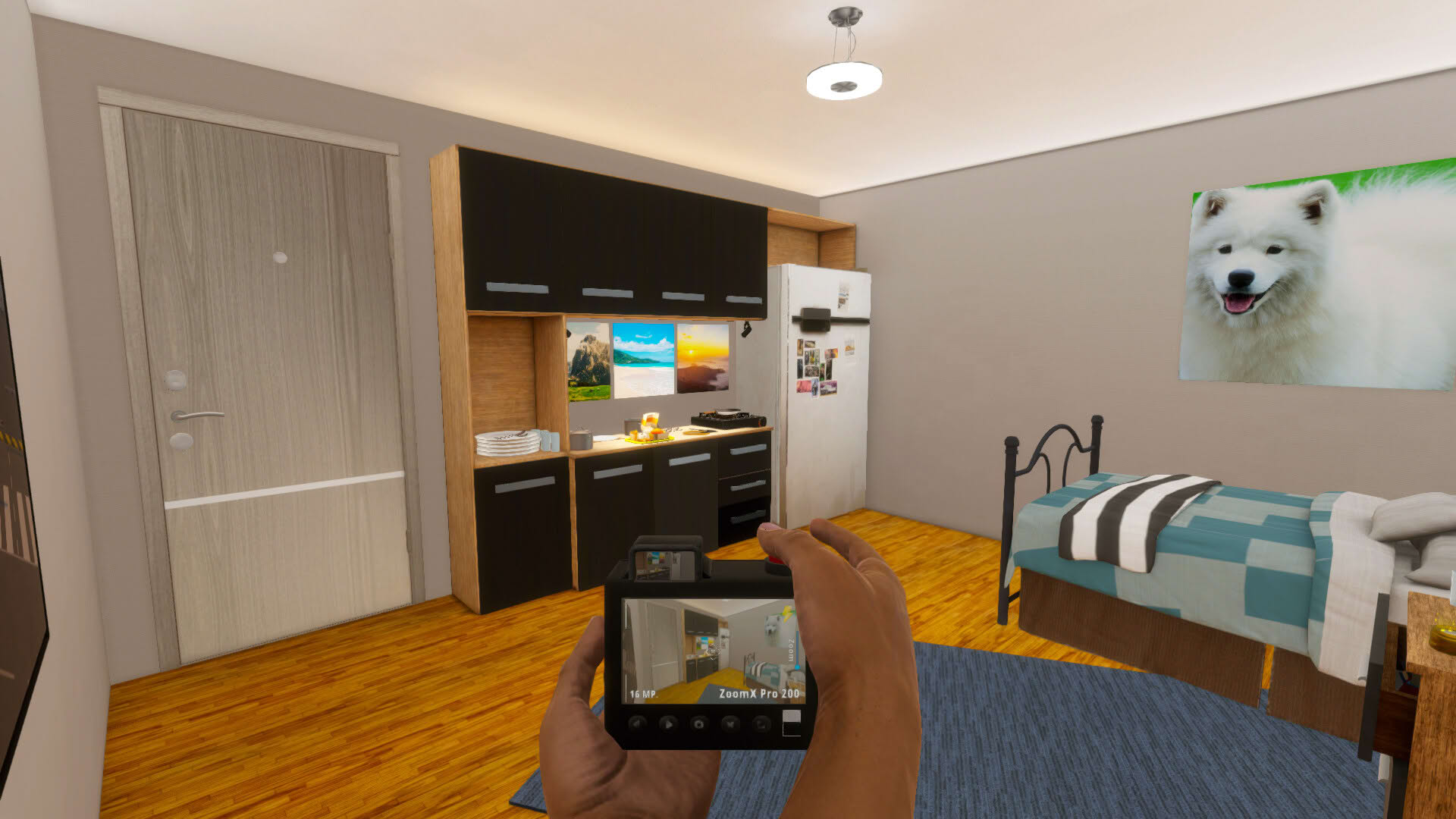 Screenshot for Photographer's Life Simulator