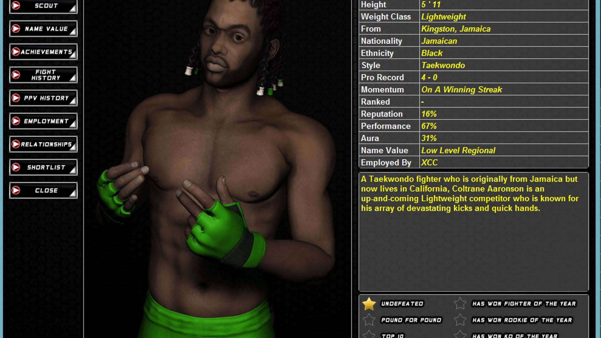 Screenshot for World of Mixed Martial Arts 3