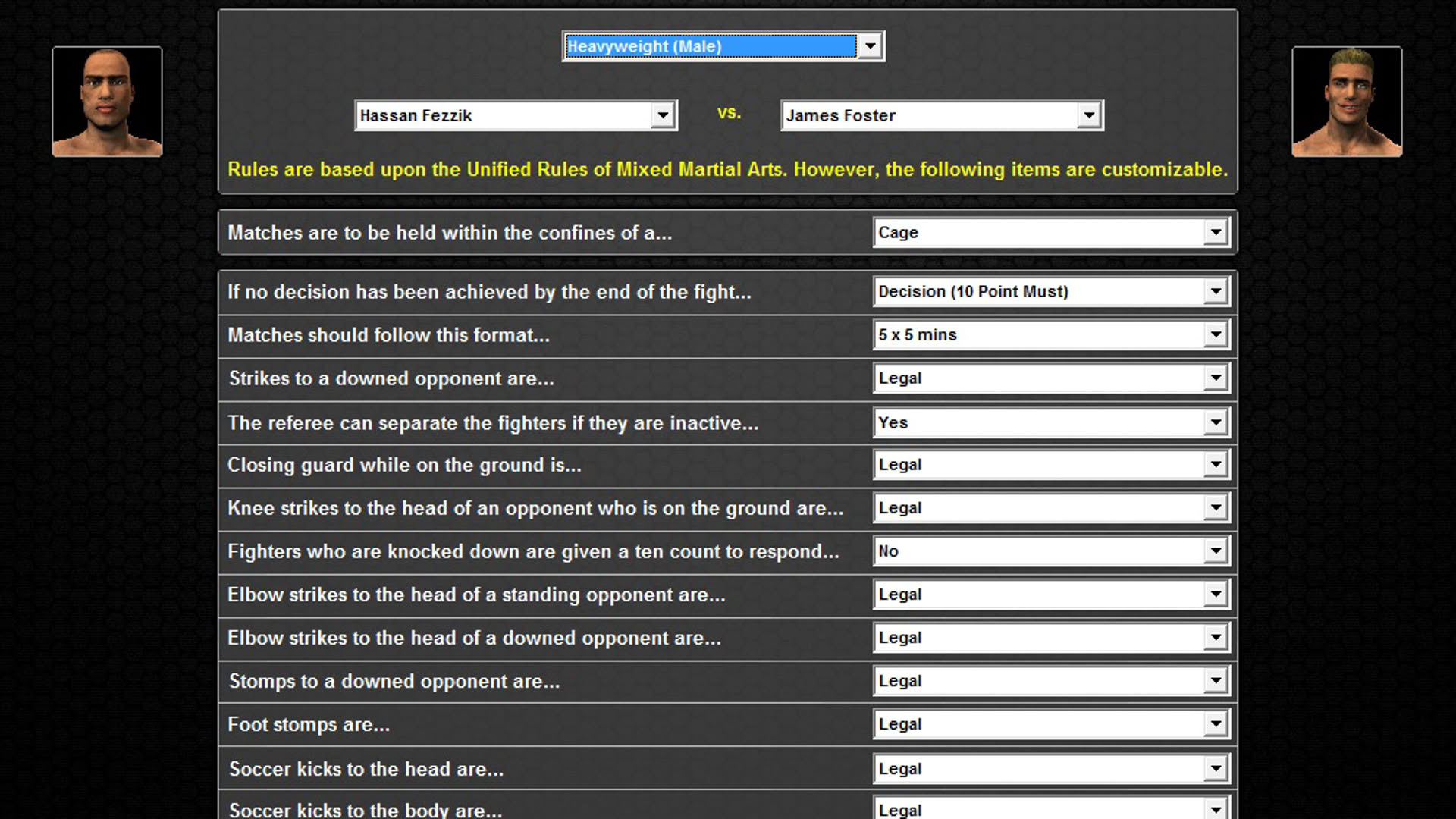 Screenshot for World of Mixed Martial Arts 3
