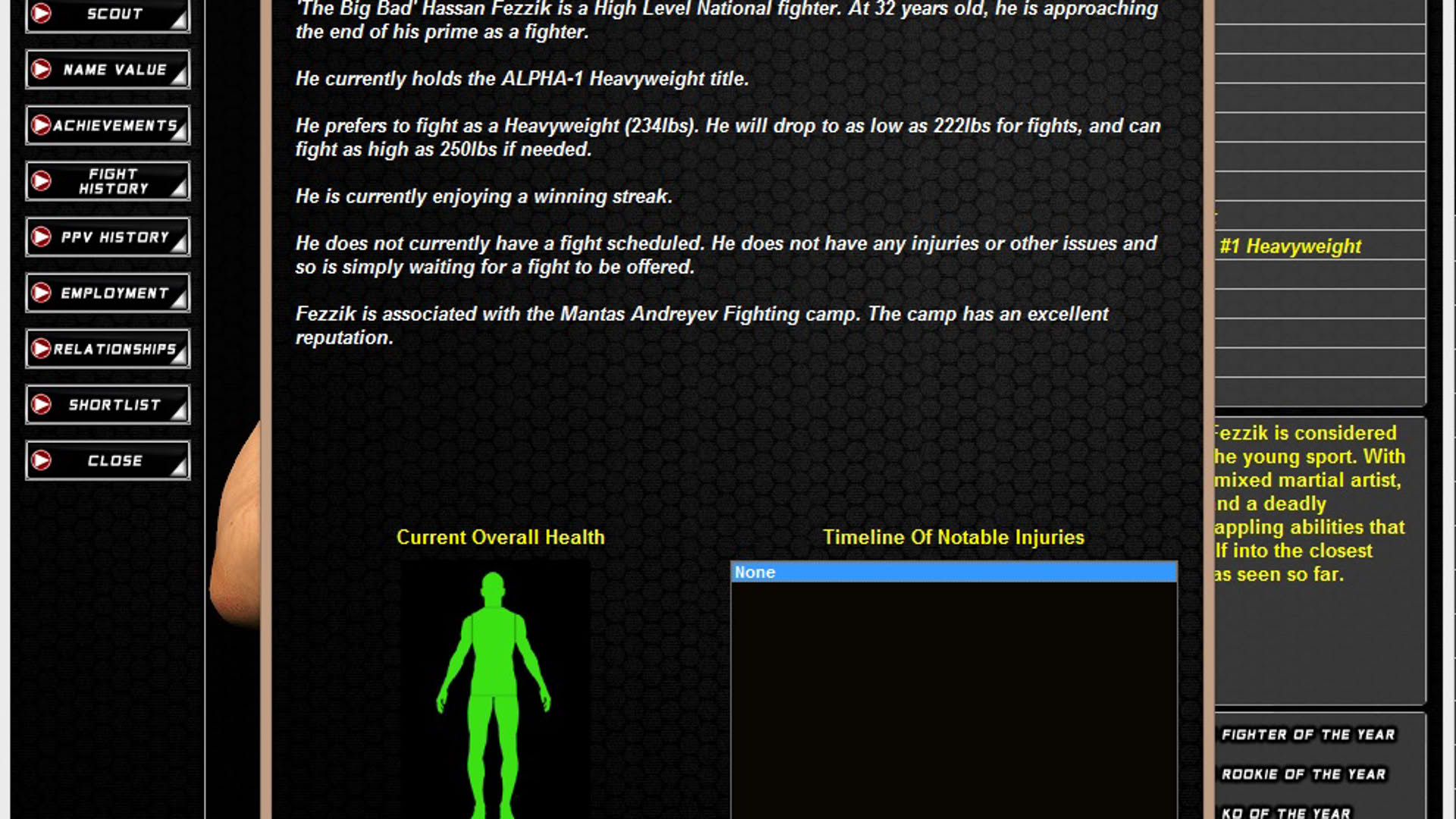 Screenshot for World of Mixed Martial Arts 3