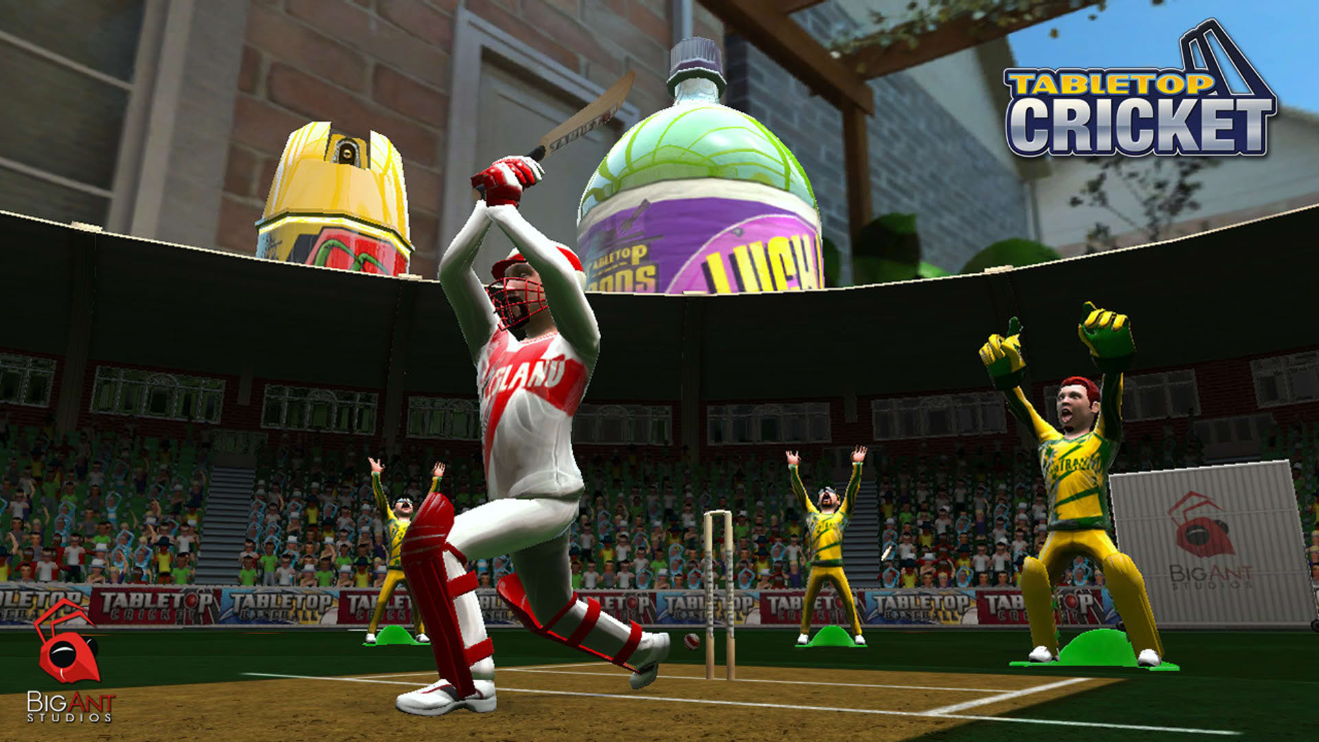 Screenshot for TableTop Cricket