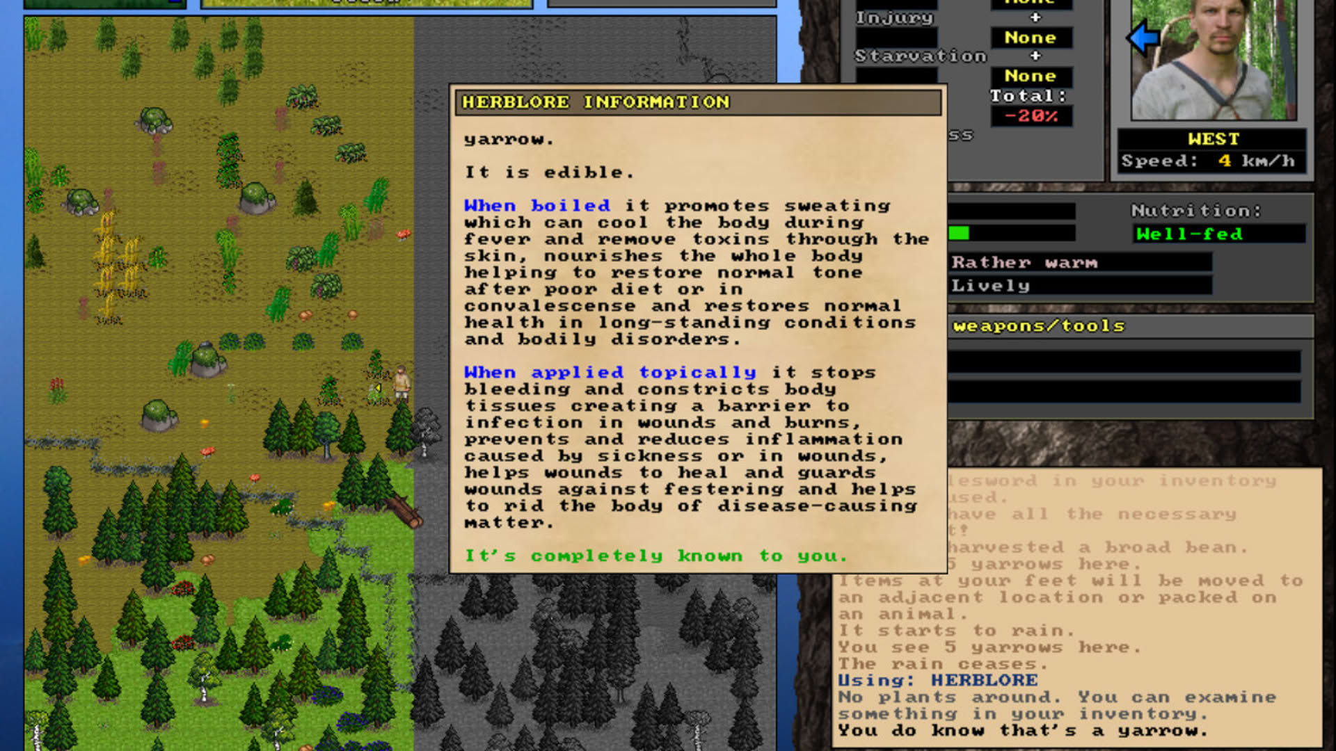Screenshot for UnReal World
