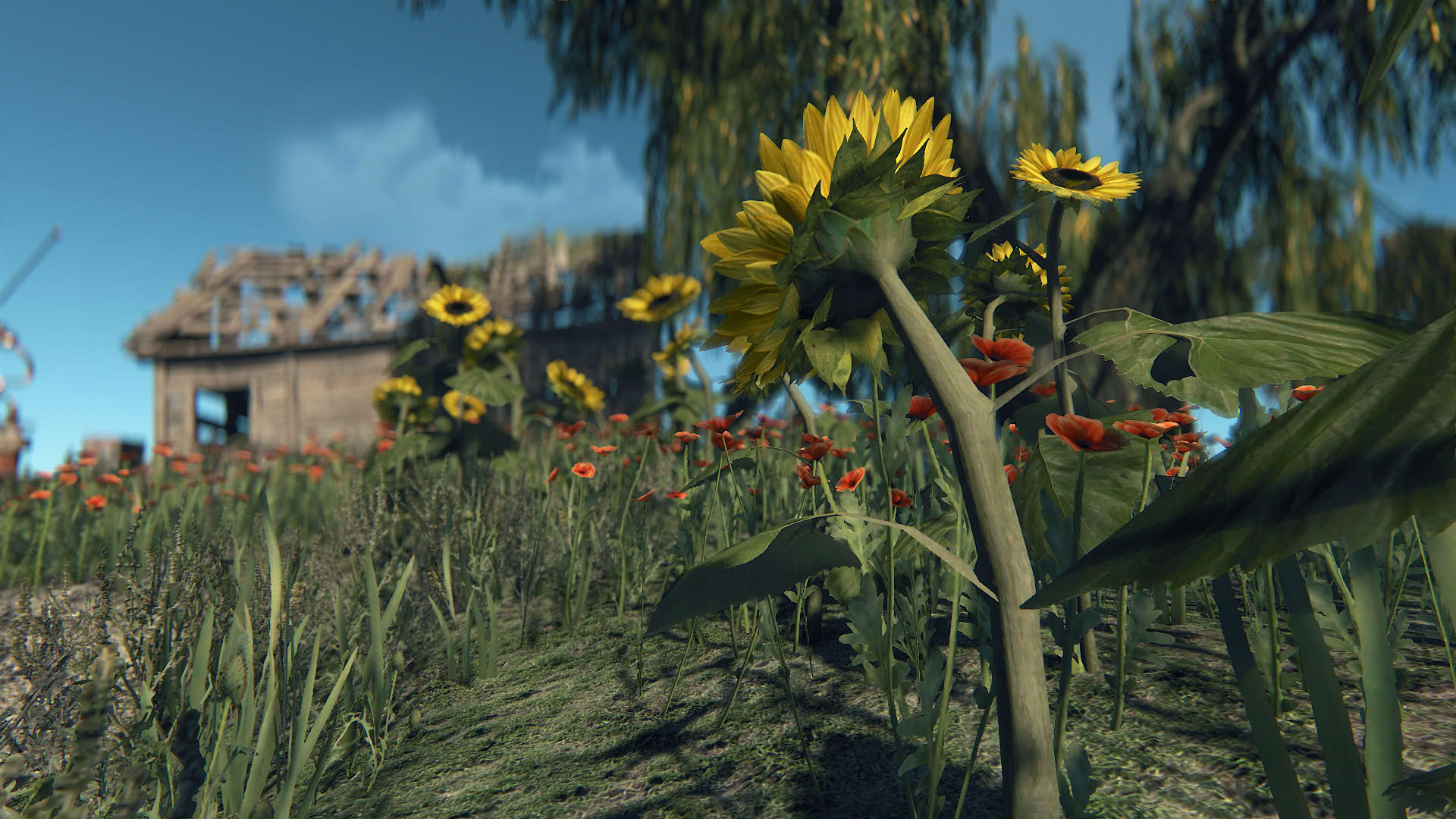 Screenshot for Survarium