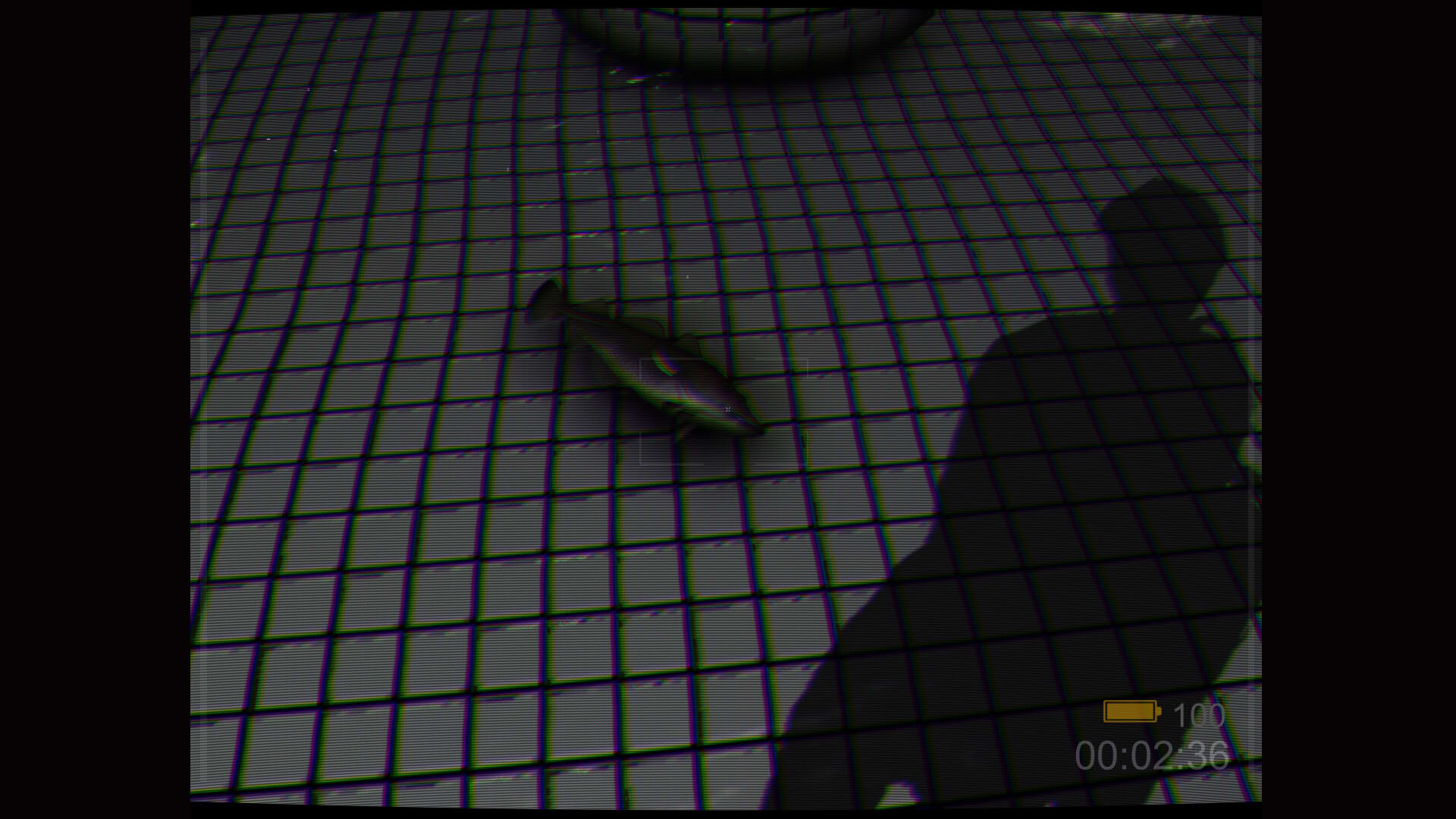 Screenshot for Backrooms: Poolrooms