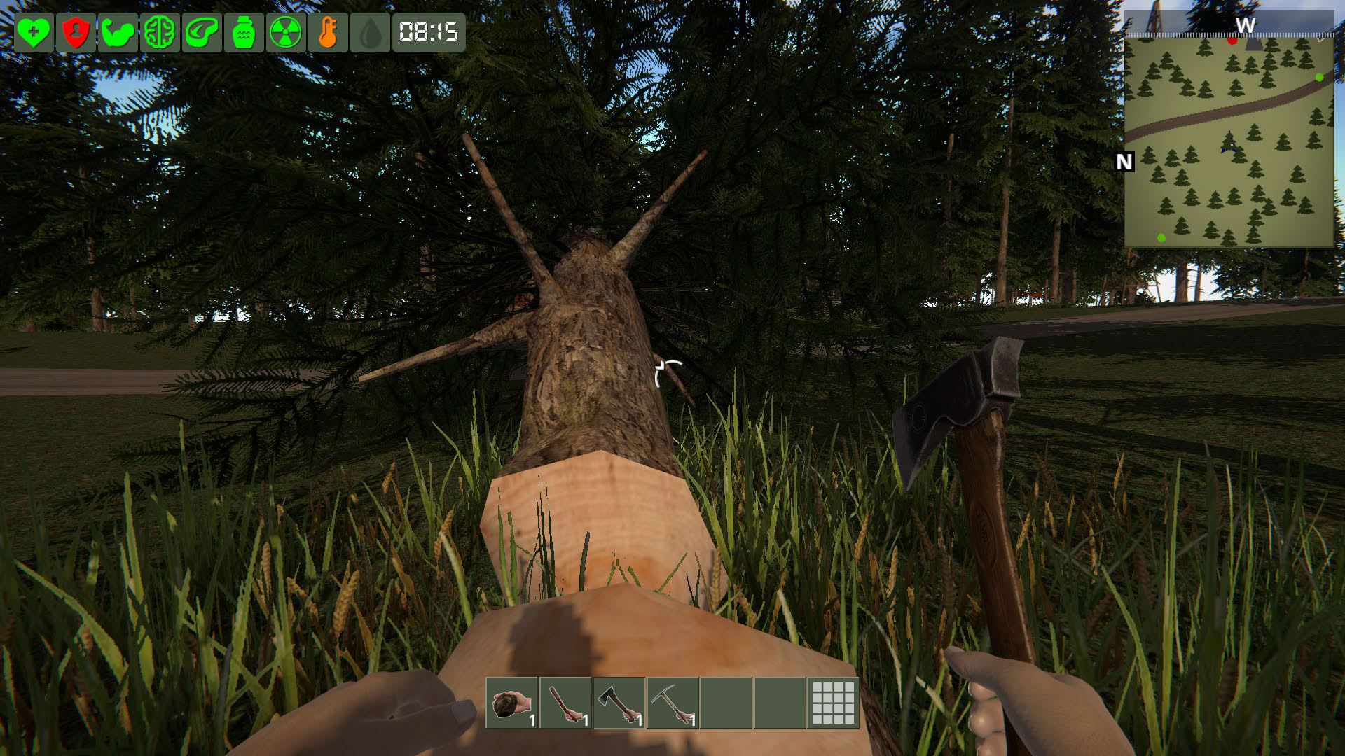 Screenshot for The Survivor