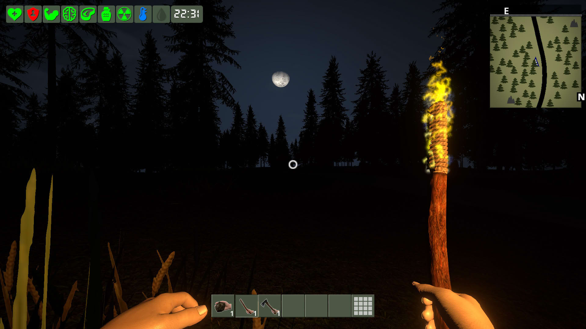 Screenshot for The Survivor