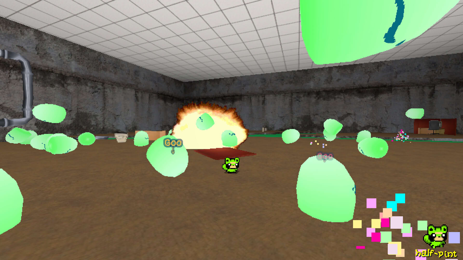 Screenshot for Funi Raccoon Game