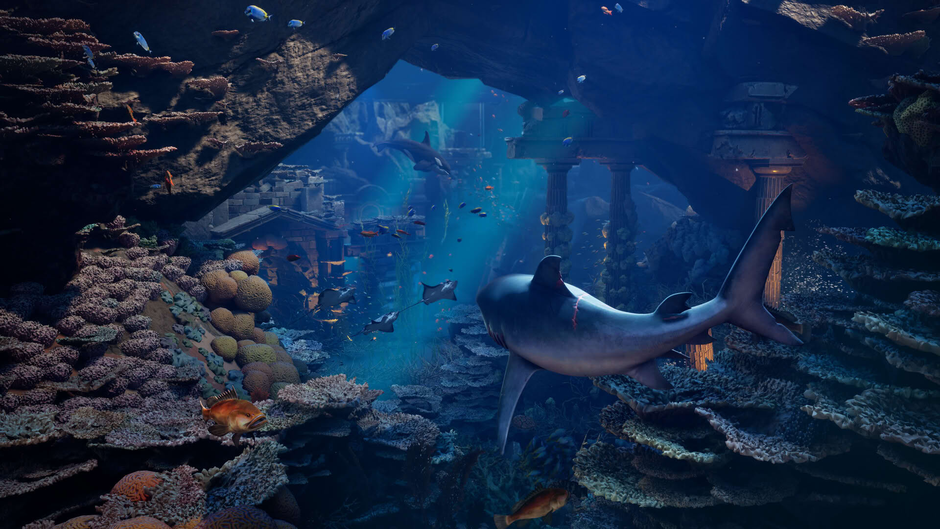 Screenshot for Maneater 2