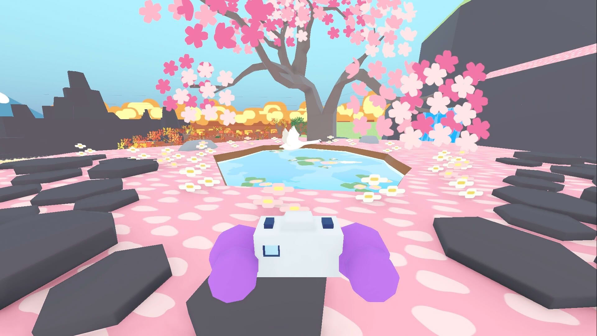 Screenshot for Flock Around