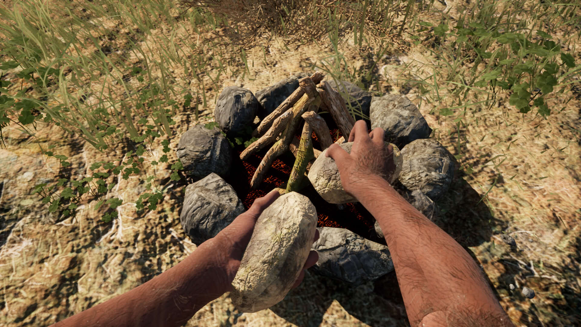 Screenshot for Primal Survival