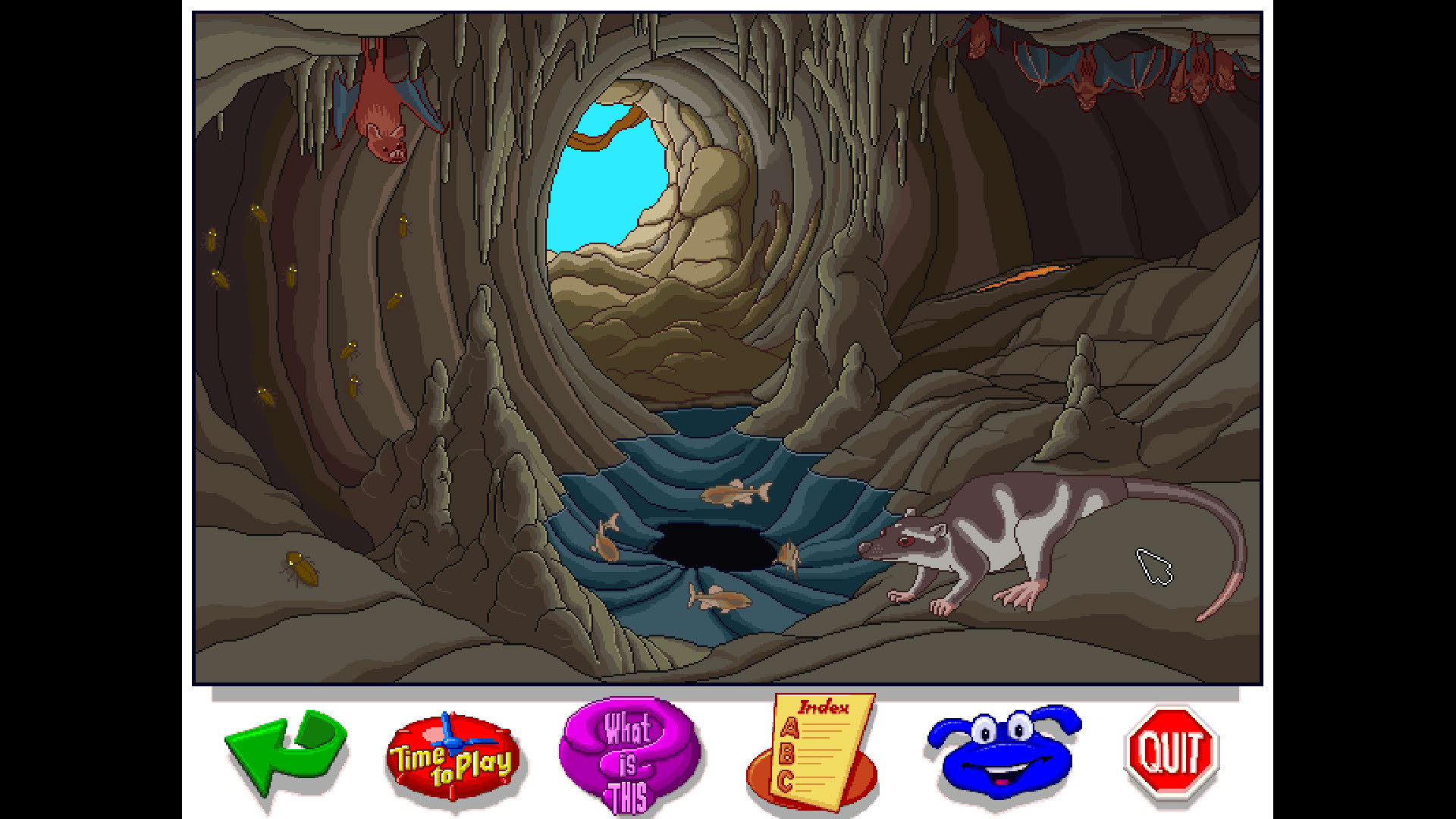 Screenshot for Let's Explore the Jungle