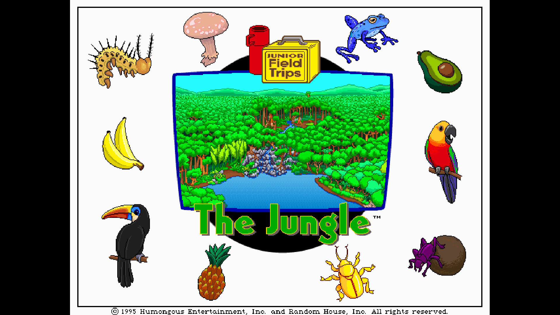 Screenshot for Let's Explore the Jungle