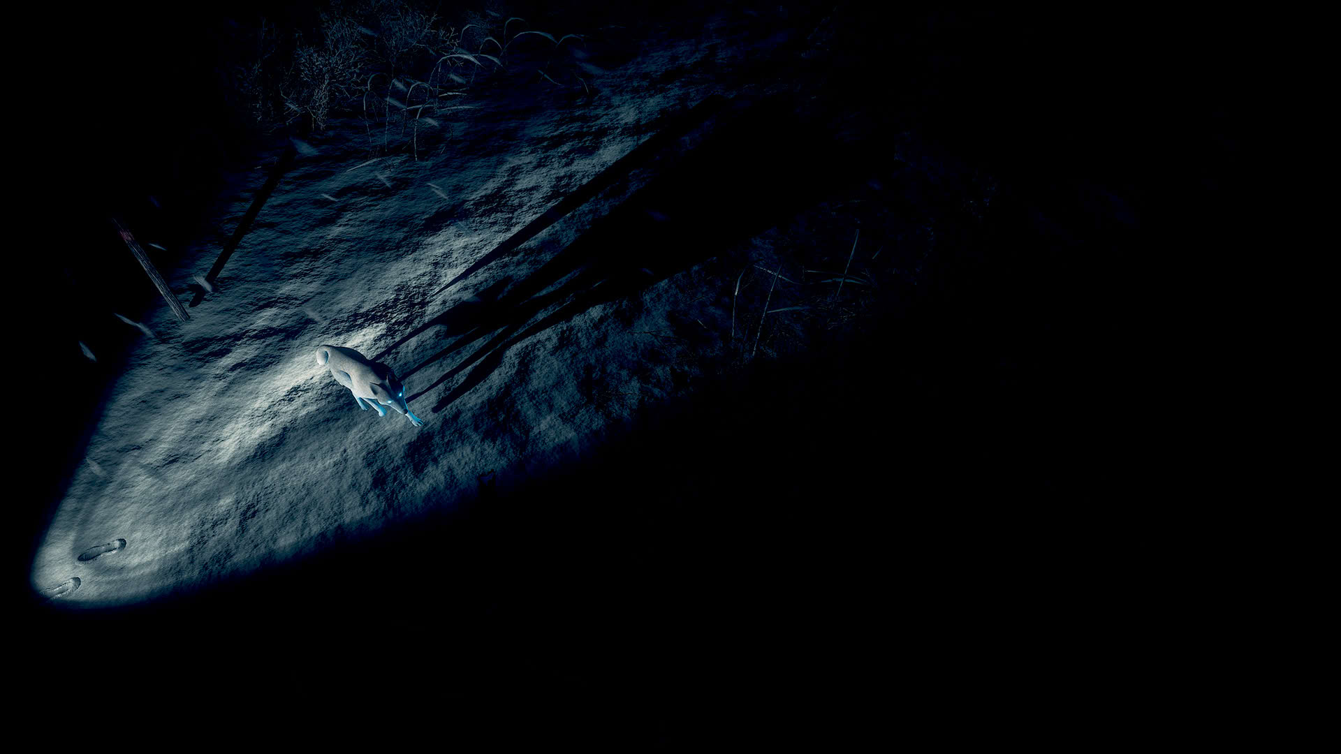Screenshot for Kona