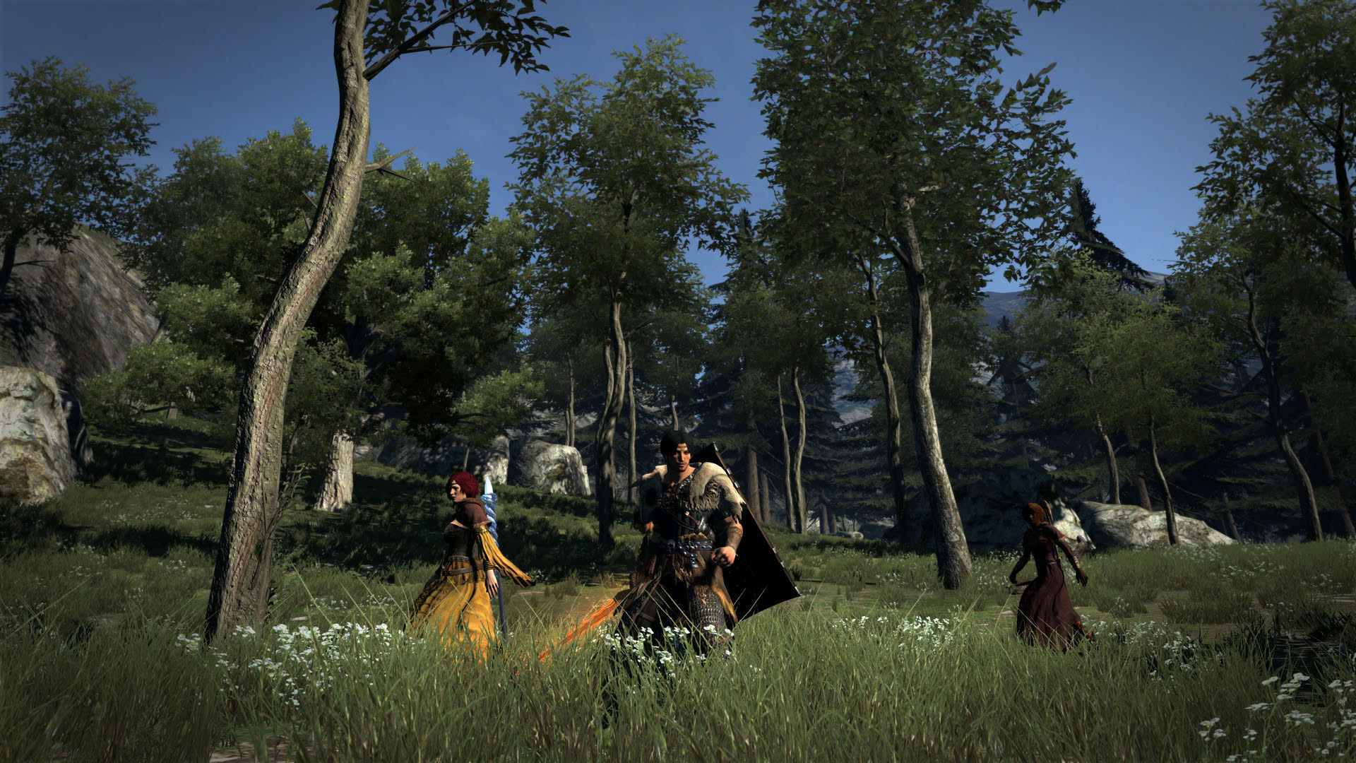 Screenshot for Dragon's Dogma