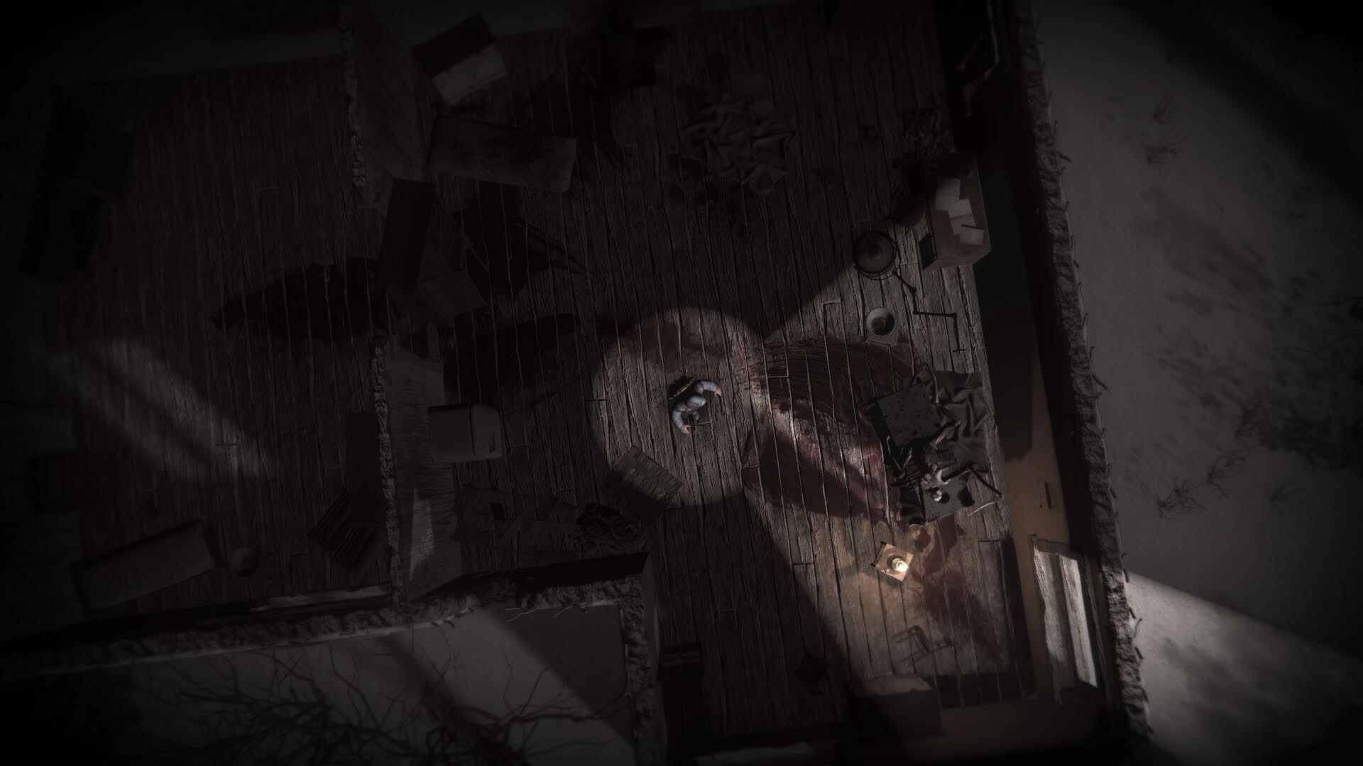 Screenshot for Darkwood II
