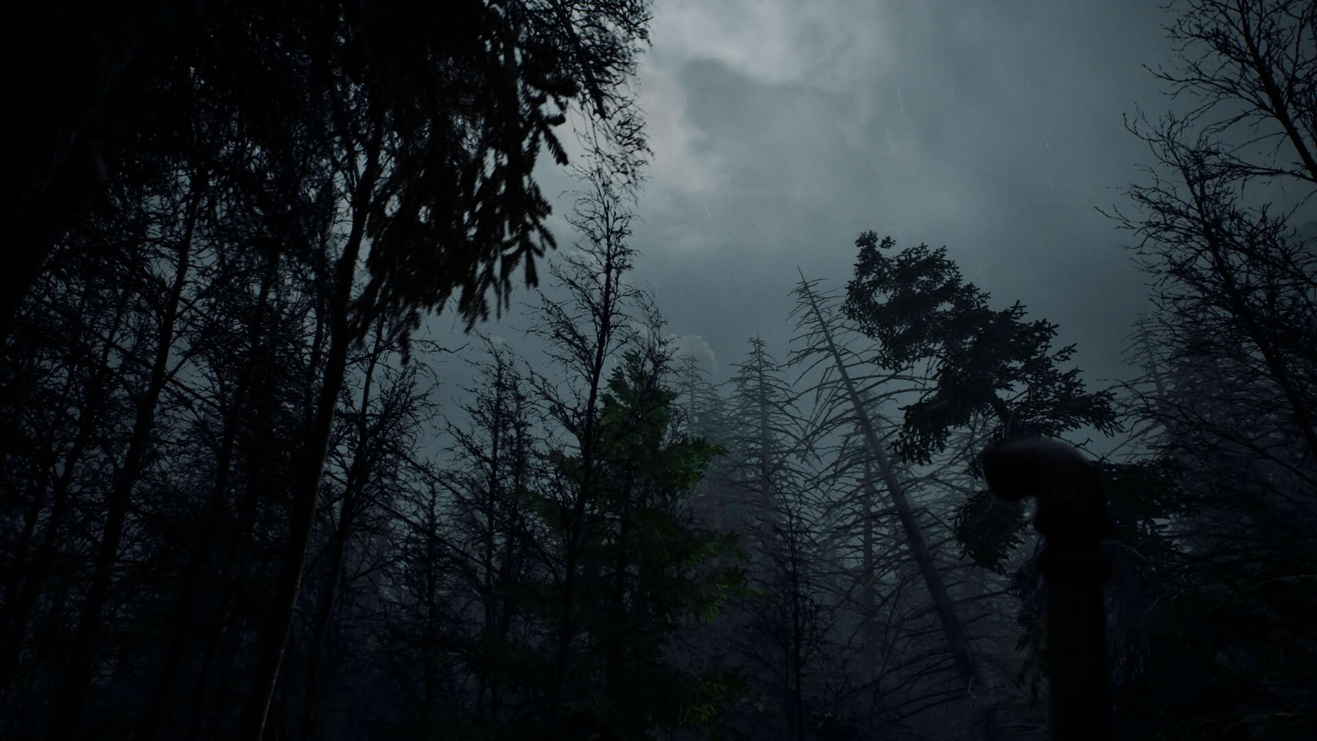 Screenshot for Whispers in the Fog