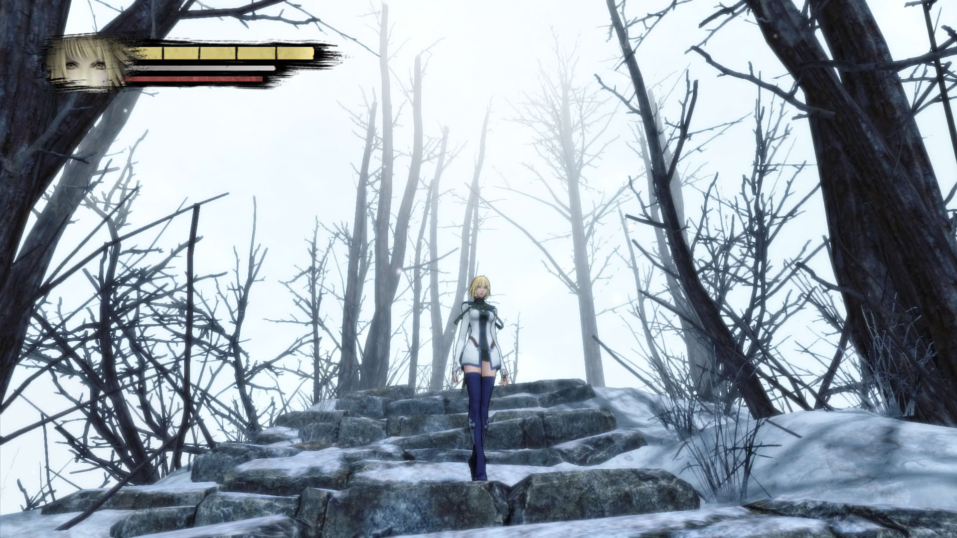 Screenshot for Anima: Gate of Memories