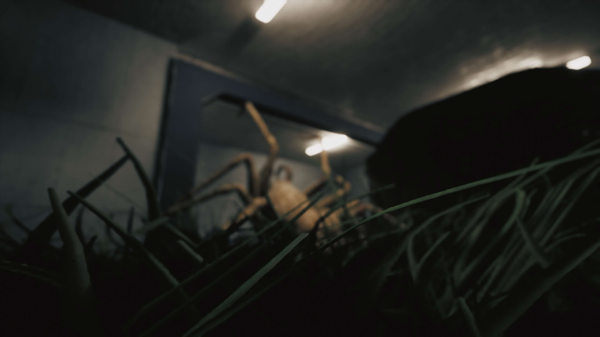 Screenshot for Huntsman