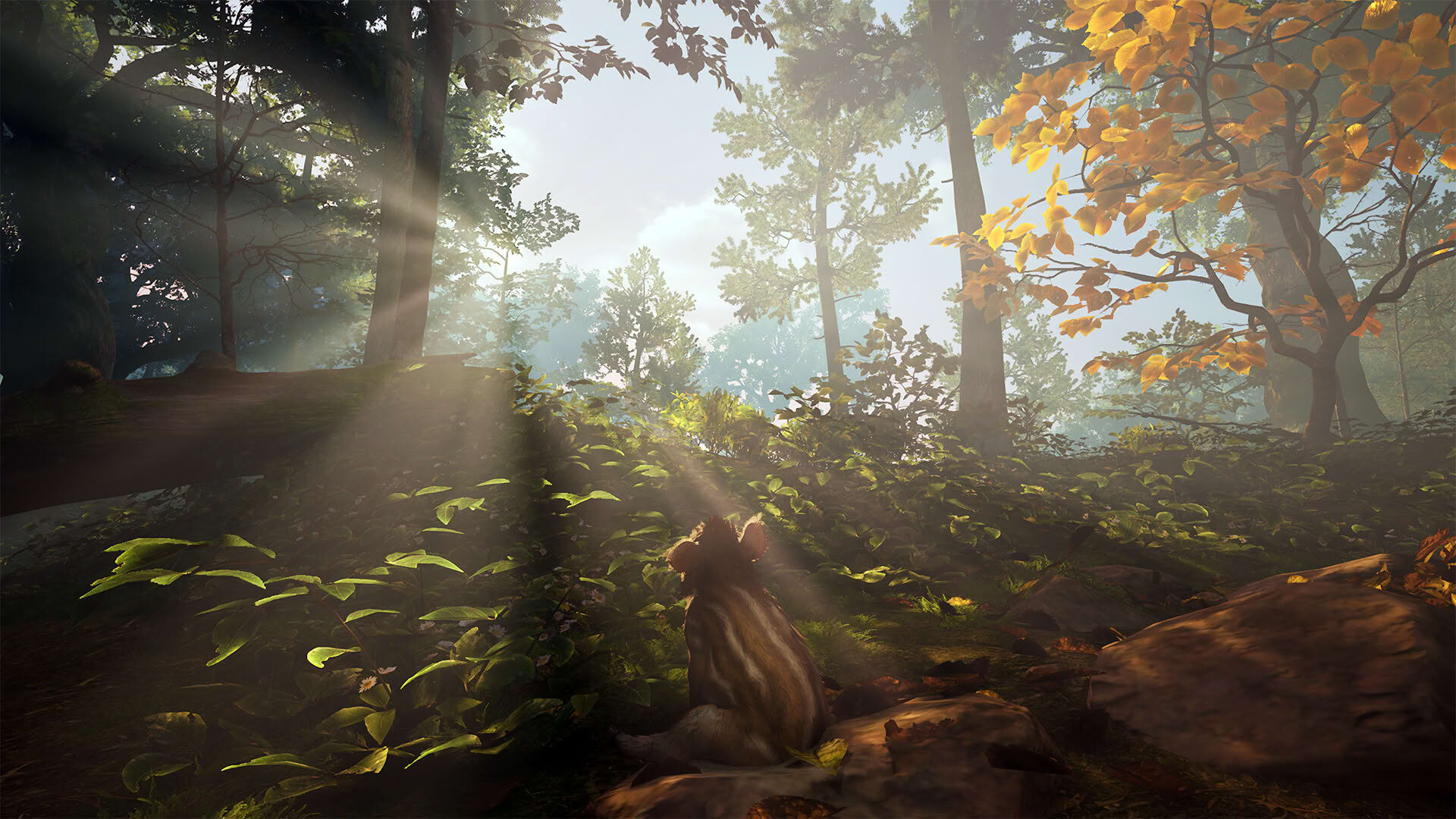Screenshot for Adorable Adventures