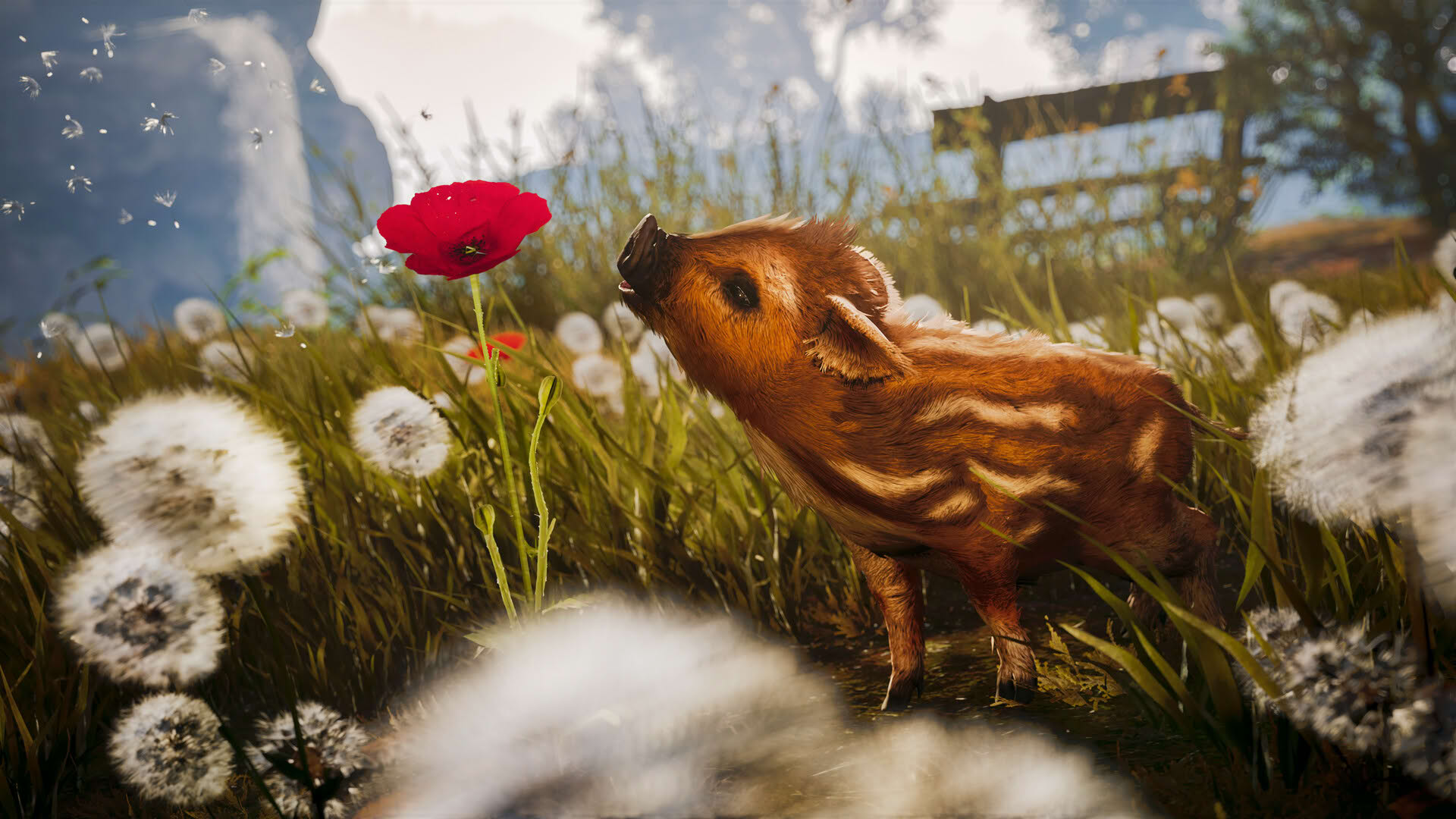 Screenshot for Adorable Adventures