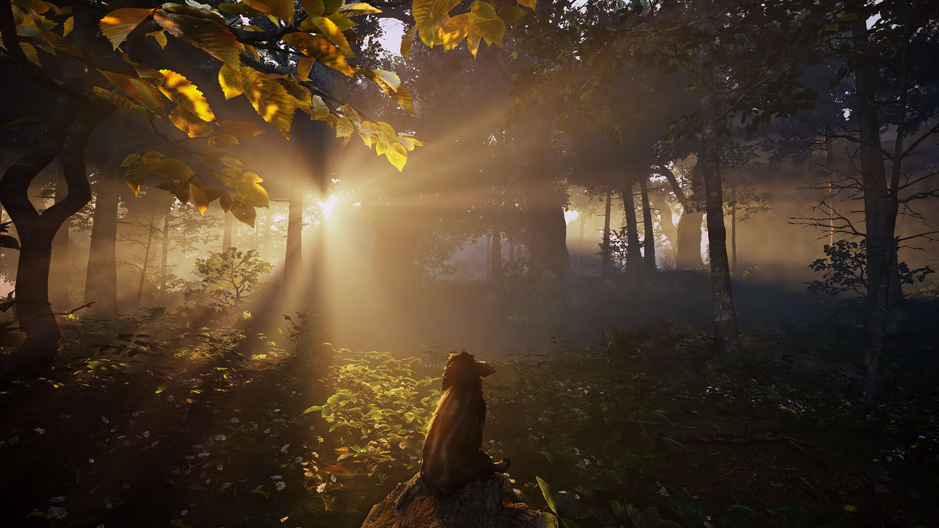 Screenshot for Adorable Adventures