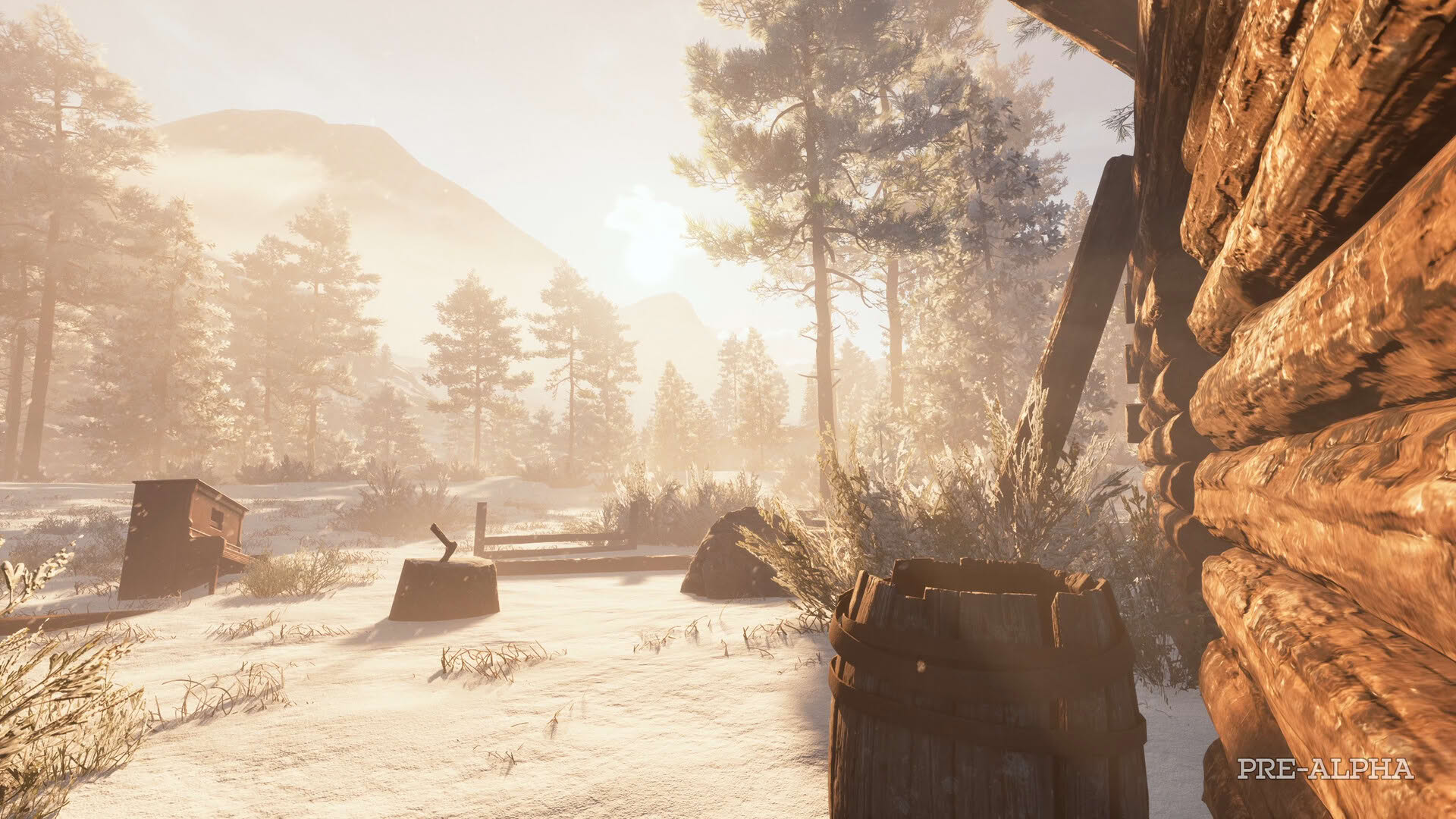 Screenshot for Westlanders