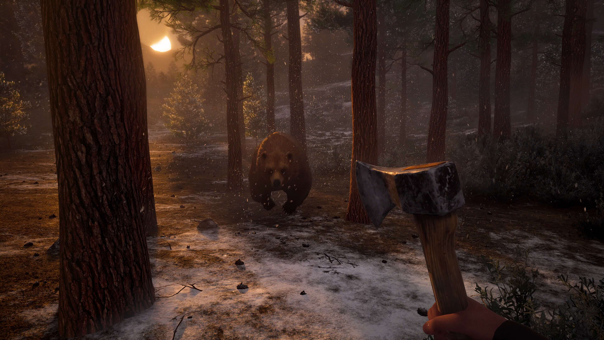 Screenshot for Westlanders