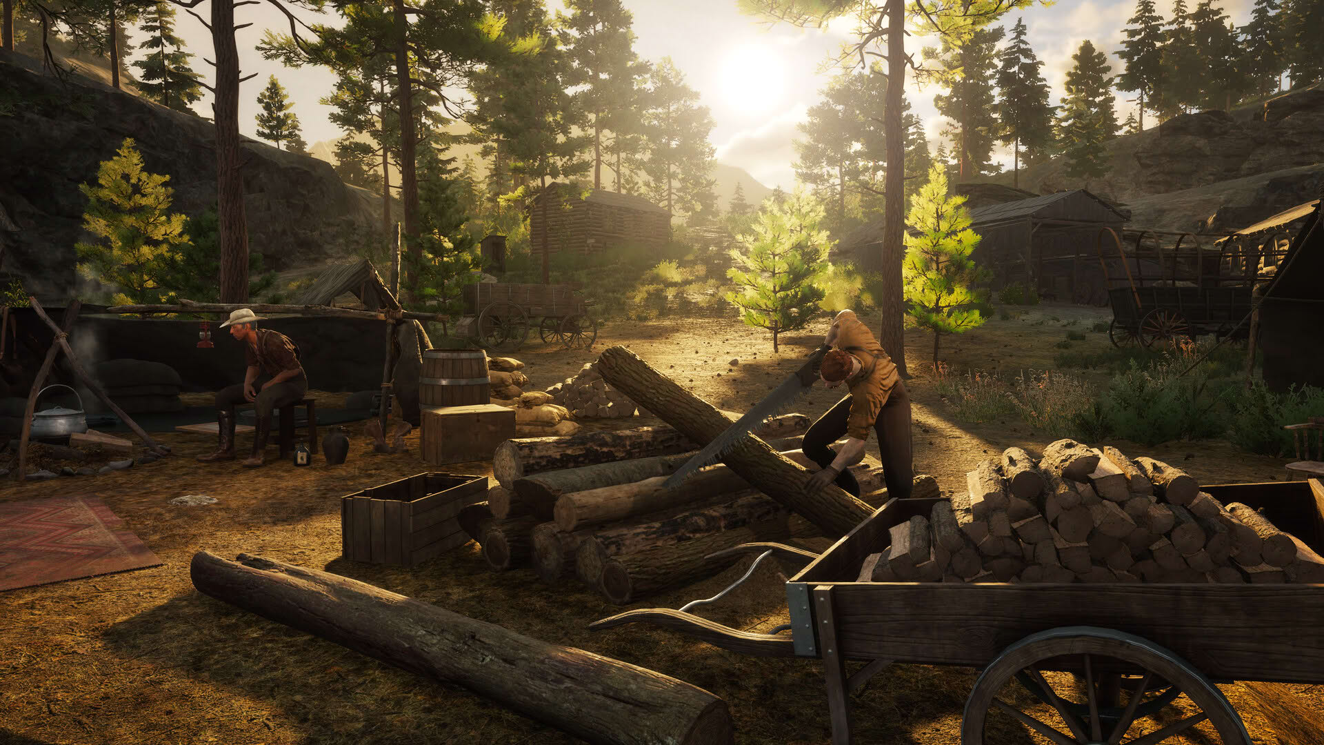 Screenshot for Westlanders