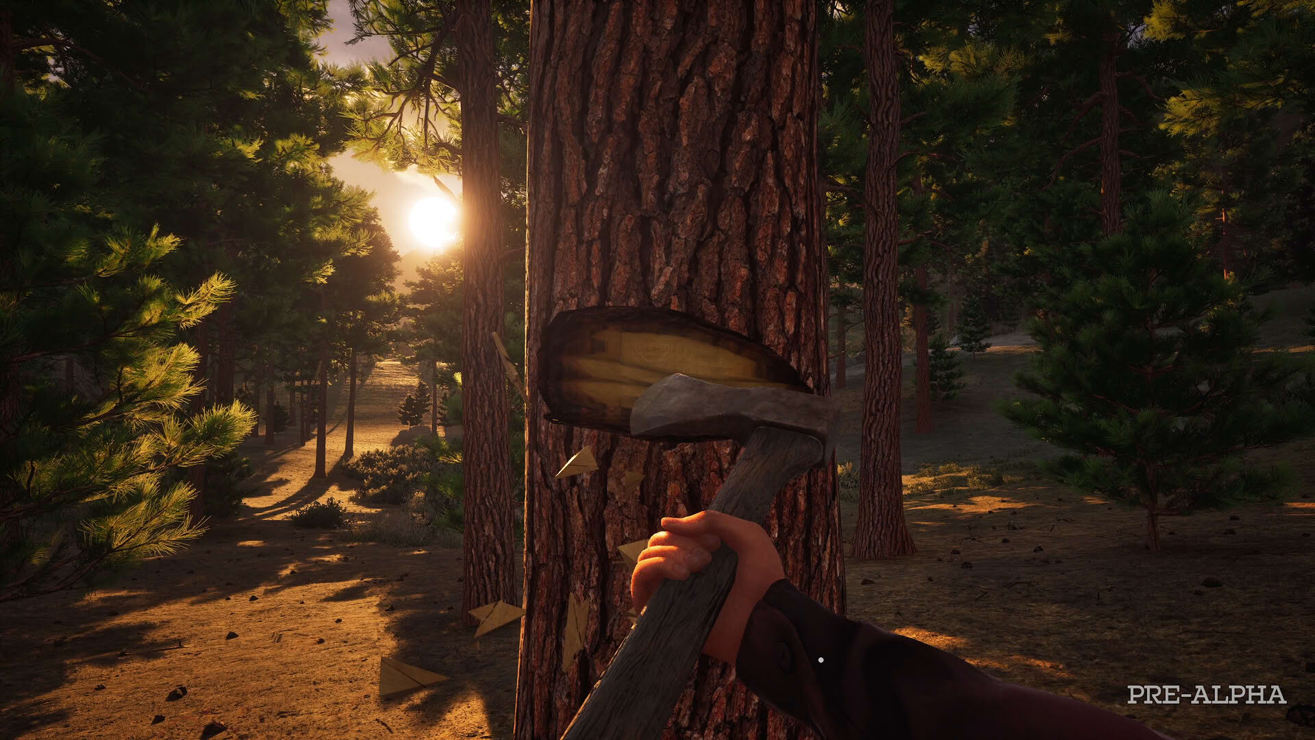 Screenshot for Westlanders