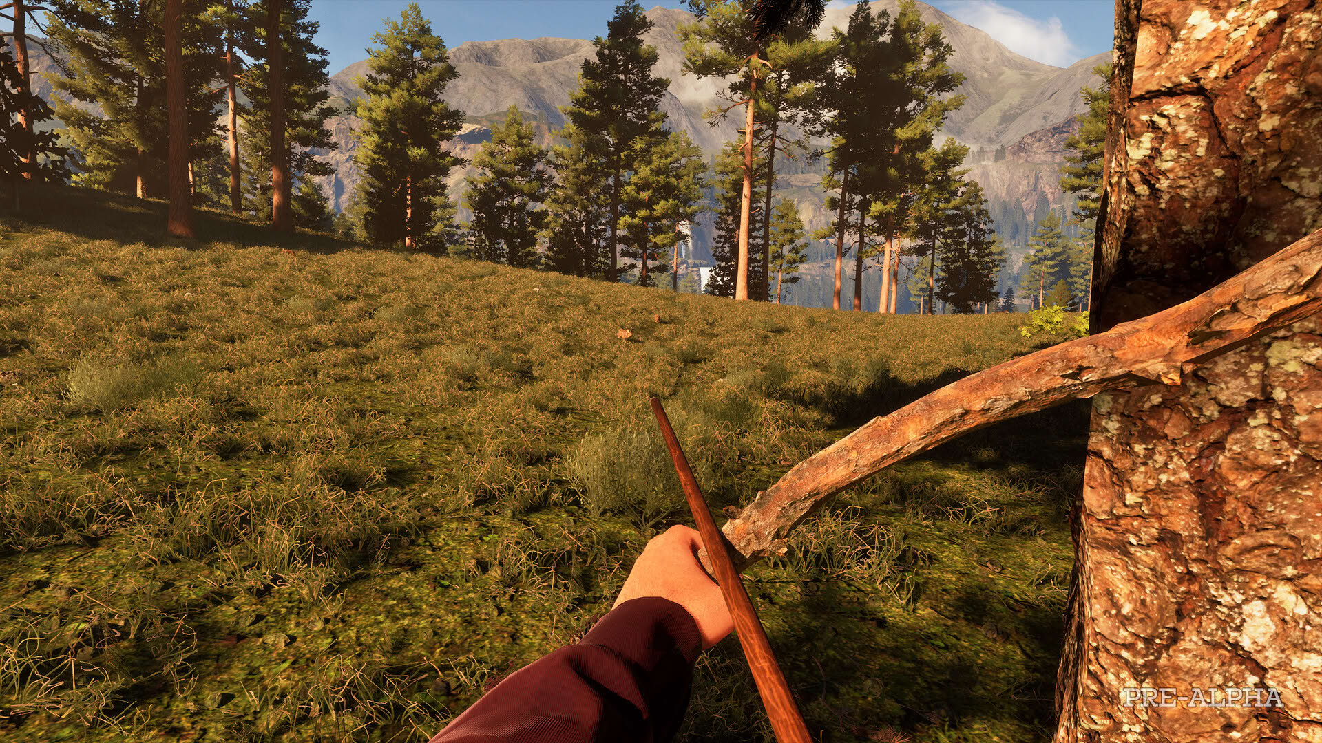 Screenshot for Westlanders