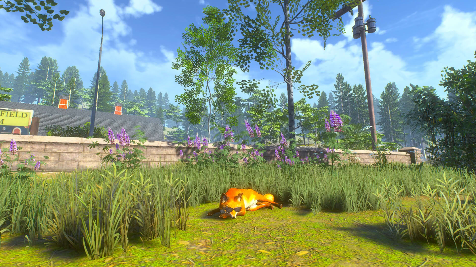 Screenshot for Chill Fox