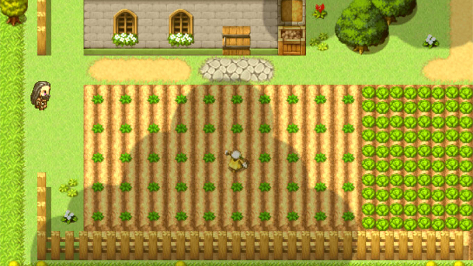 Screenshot for Labyronia RPG