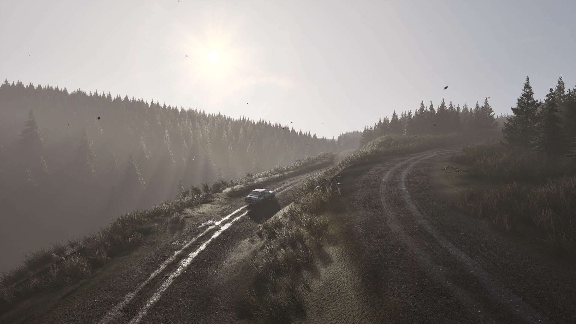 Screenshot for Assetto Corsa Rally