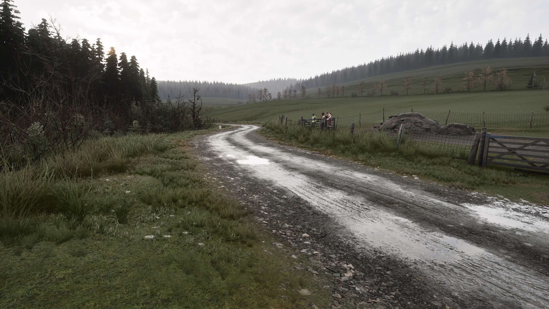 Screenshot for Assetto Corsa Rally